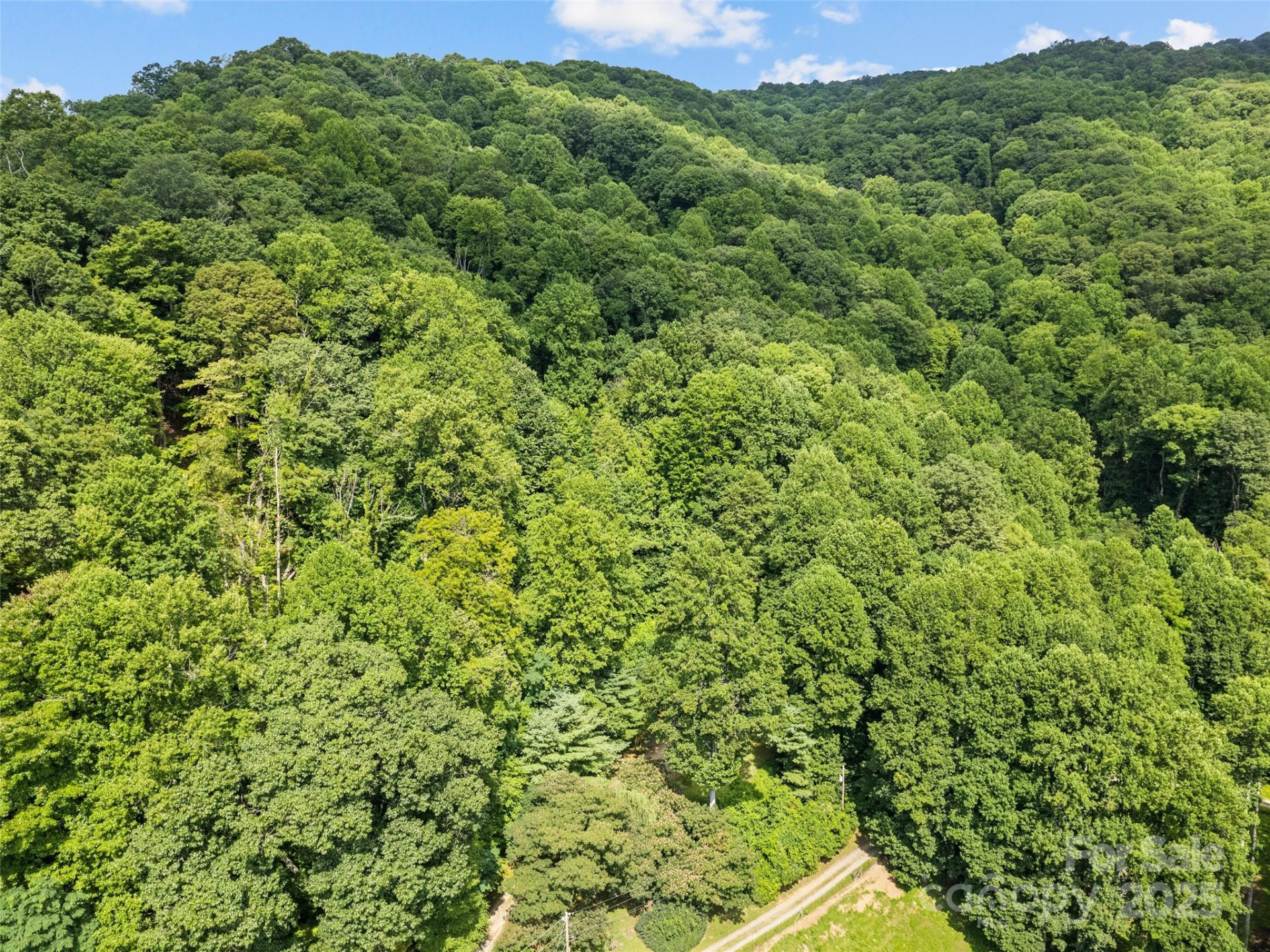 318 Grapevine Cove - Photo 40