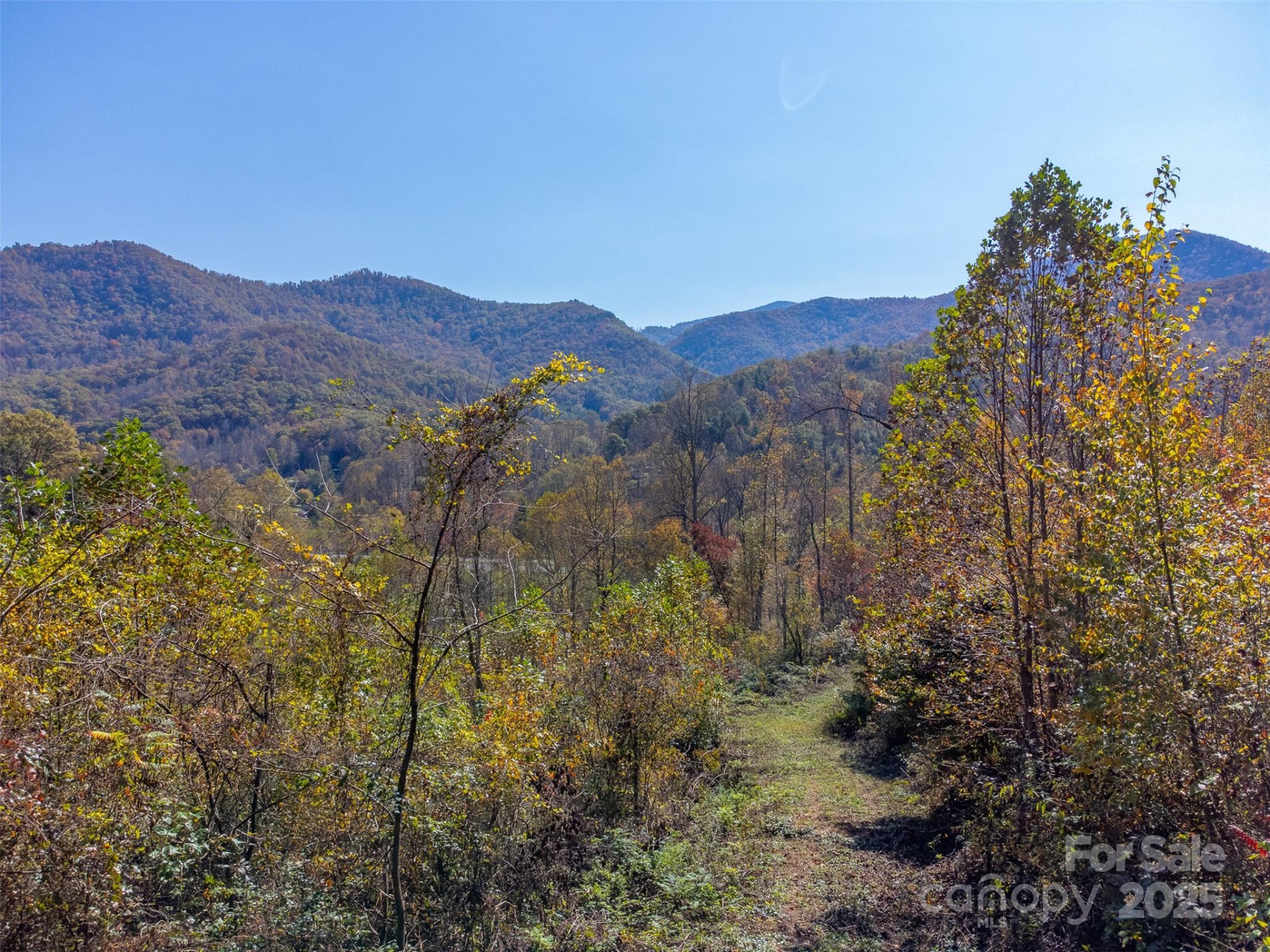 6918 US 441 Highway - Photo 15