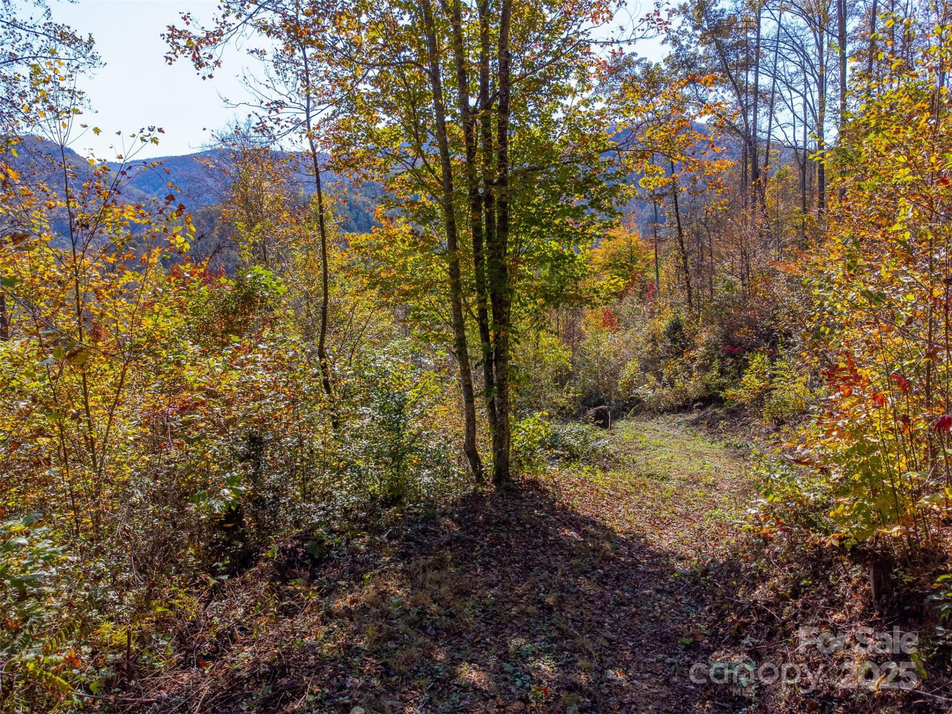 6918 US 441 Highway - Photo 17