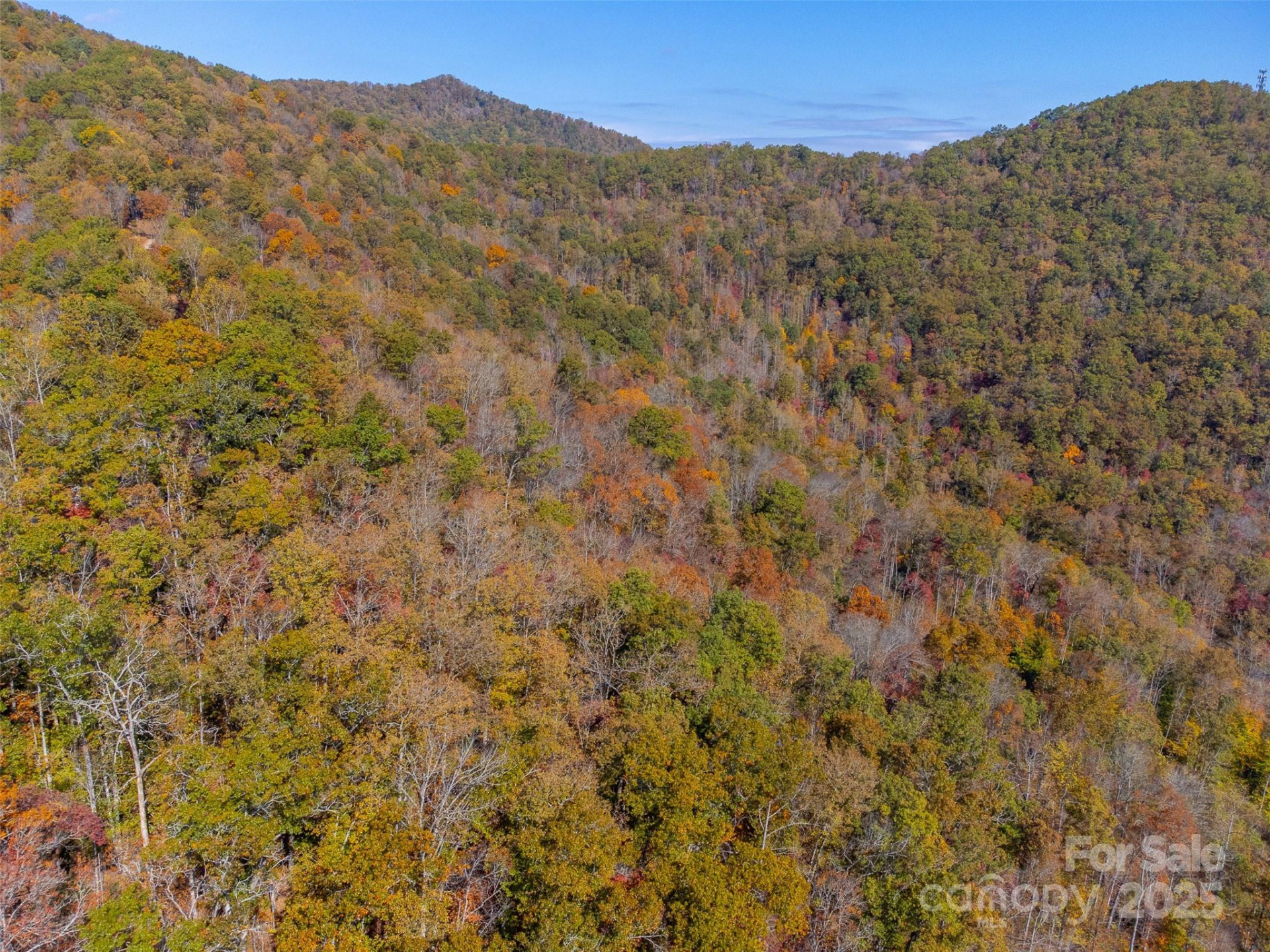 6918 US 441 Highway - Photo 18