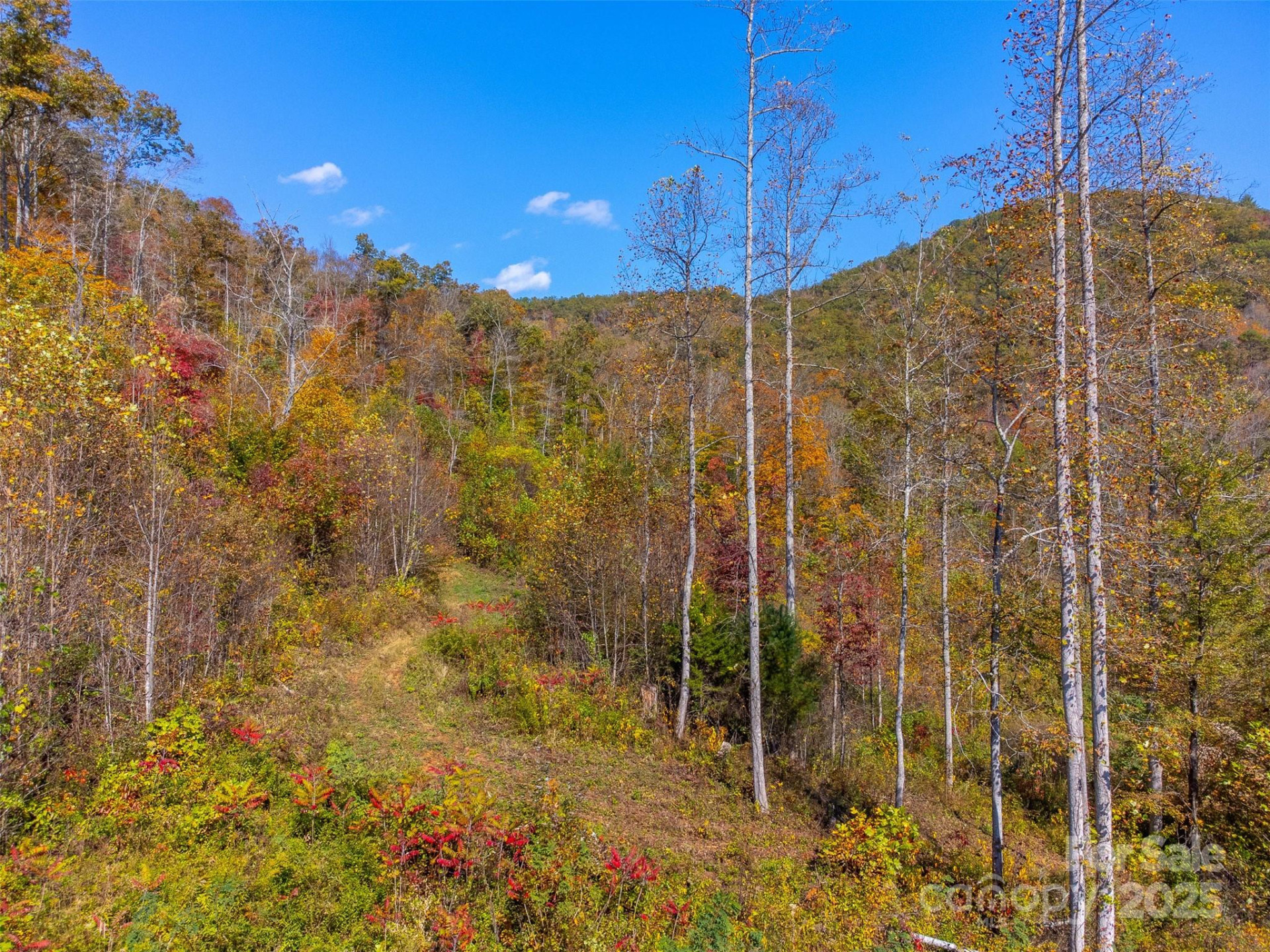 6918 US 441 Highway - Photo 20