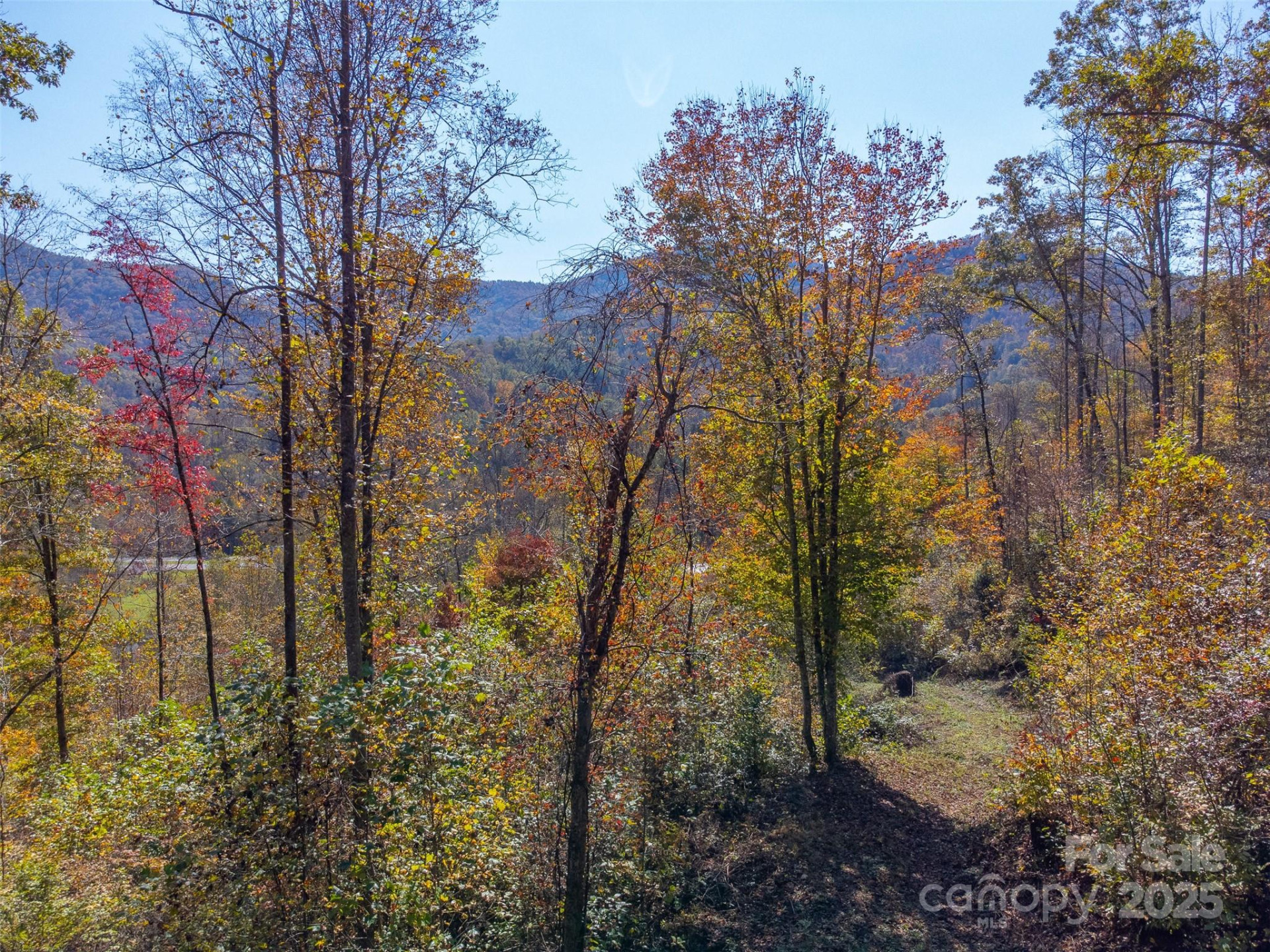 6918 US 441 Highway - Photo 21