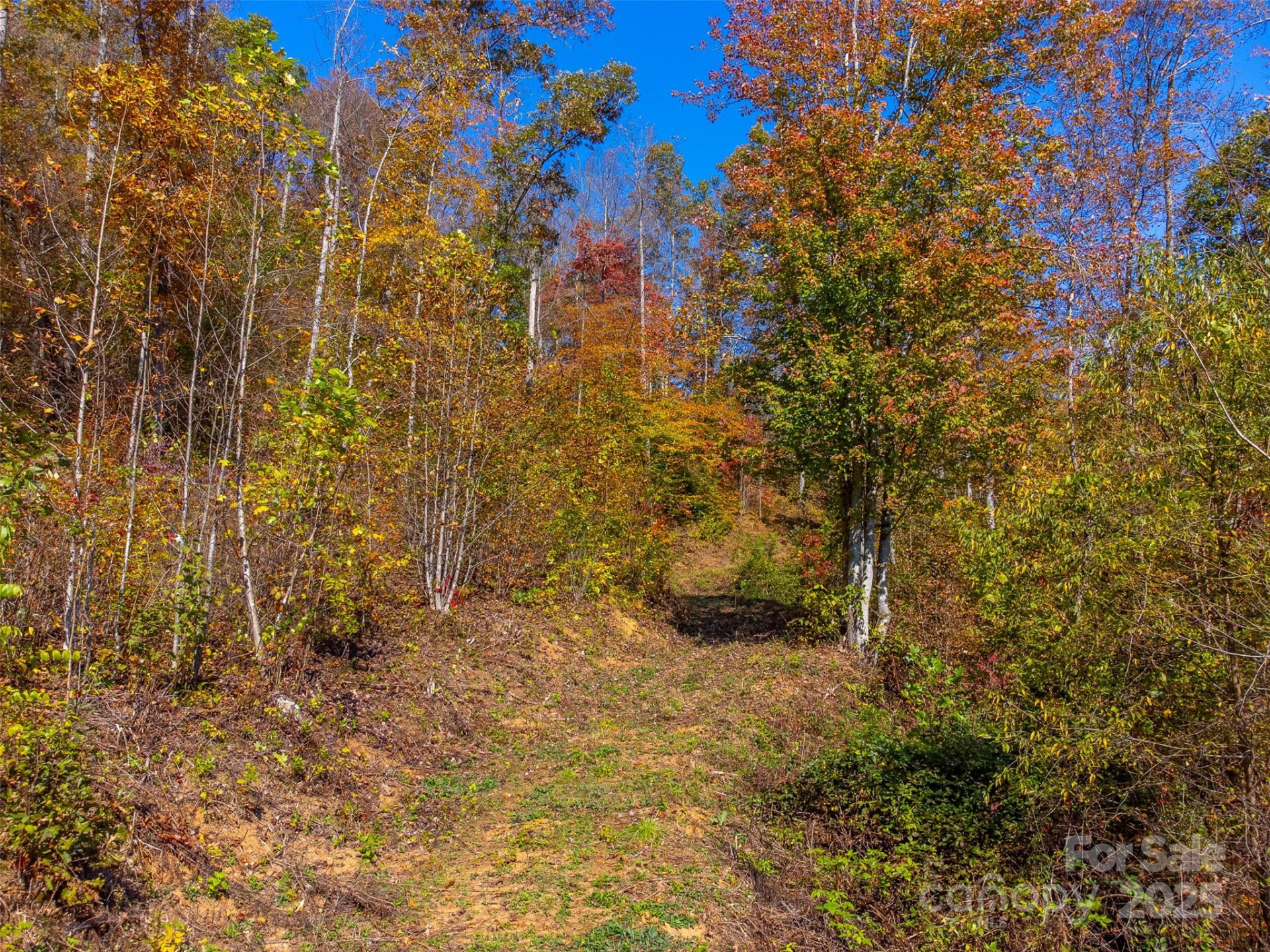 6918 US 441 Highway - Photo 24