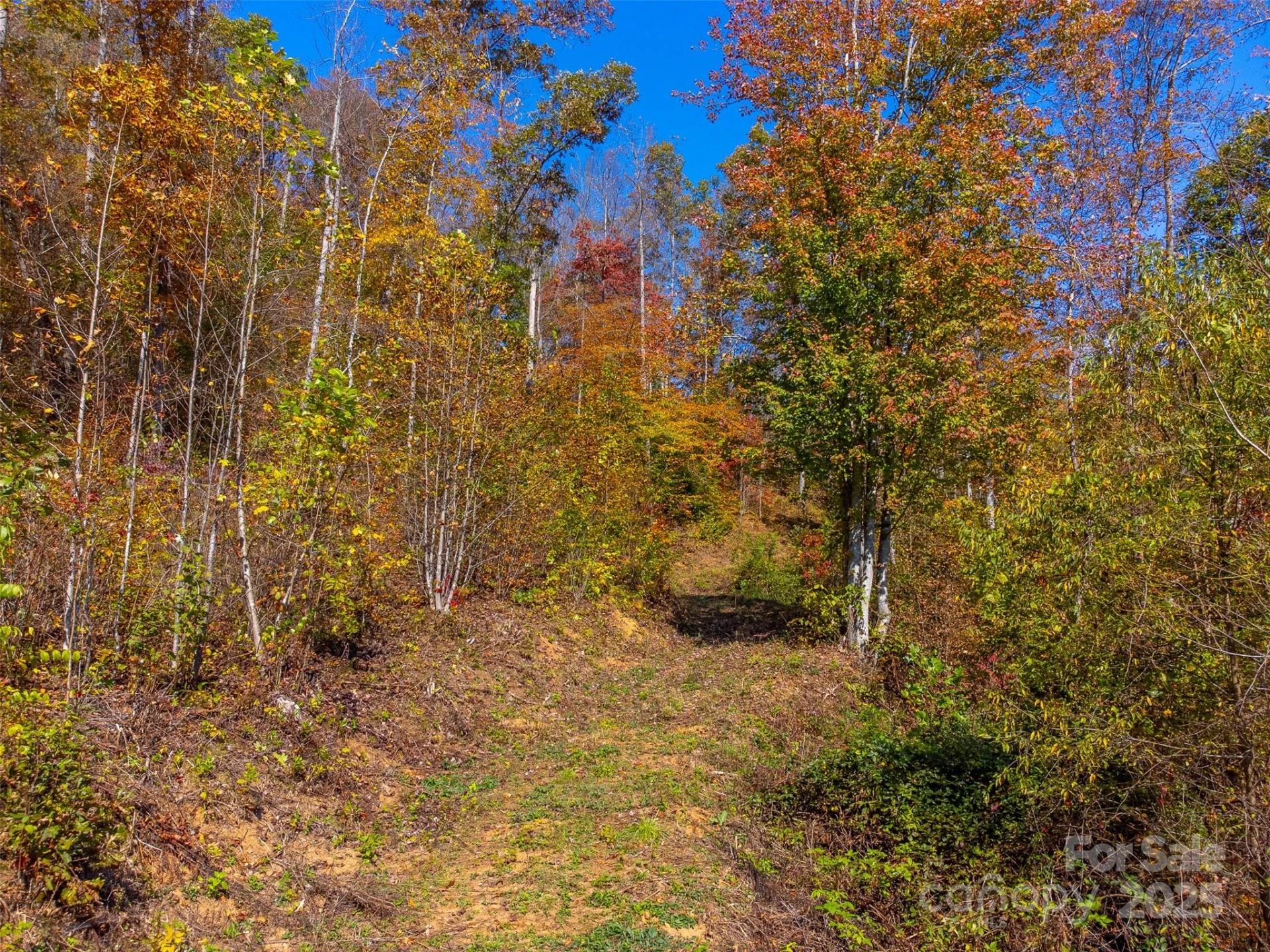 6918 US 441 Highway - Photo 24