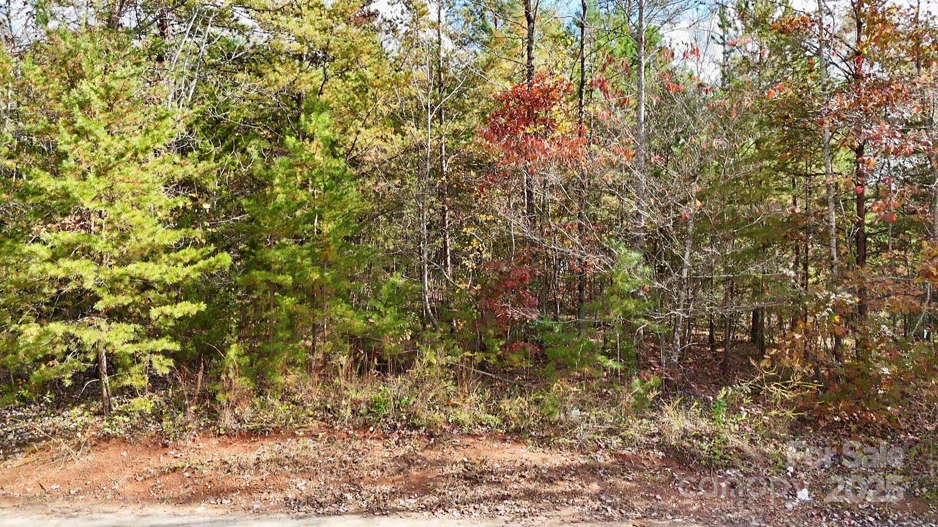 00 Hidden Cove Drive #5 - Photo 5