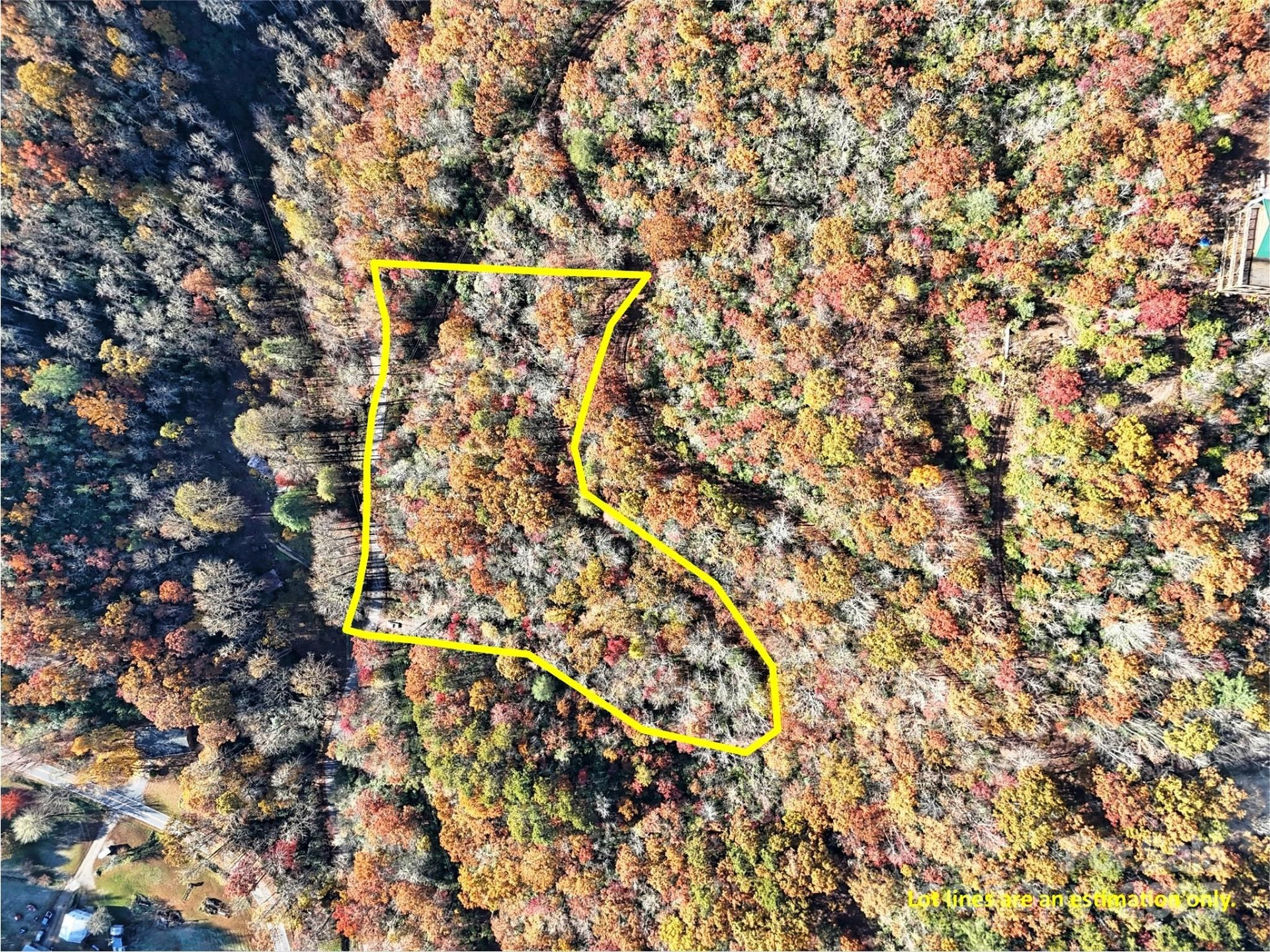 00 Brushy Fork Road - Photo 4