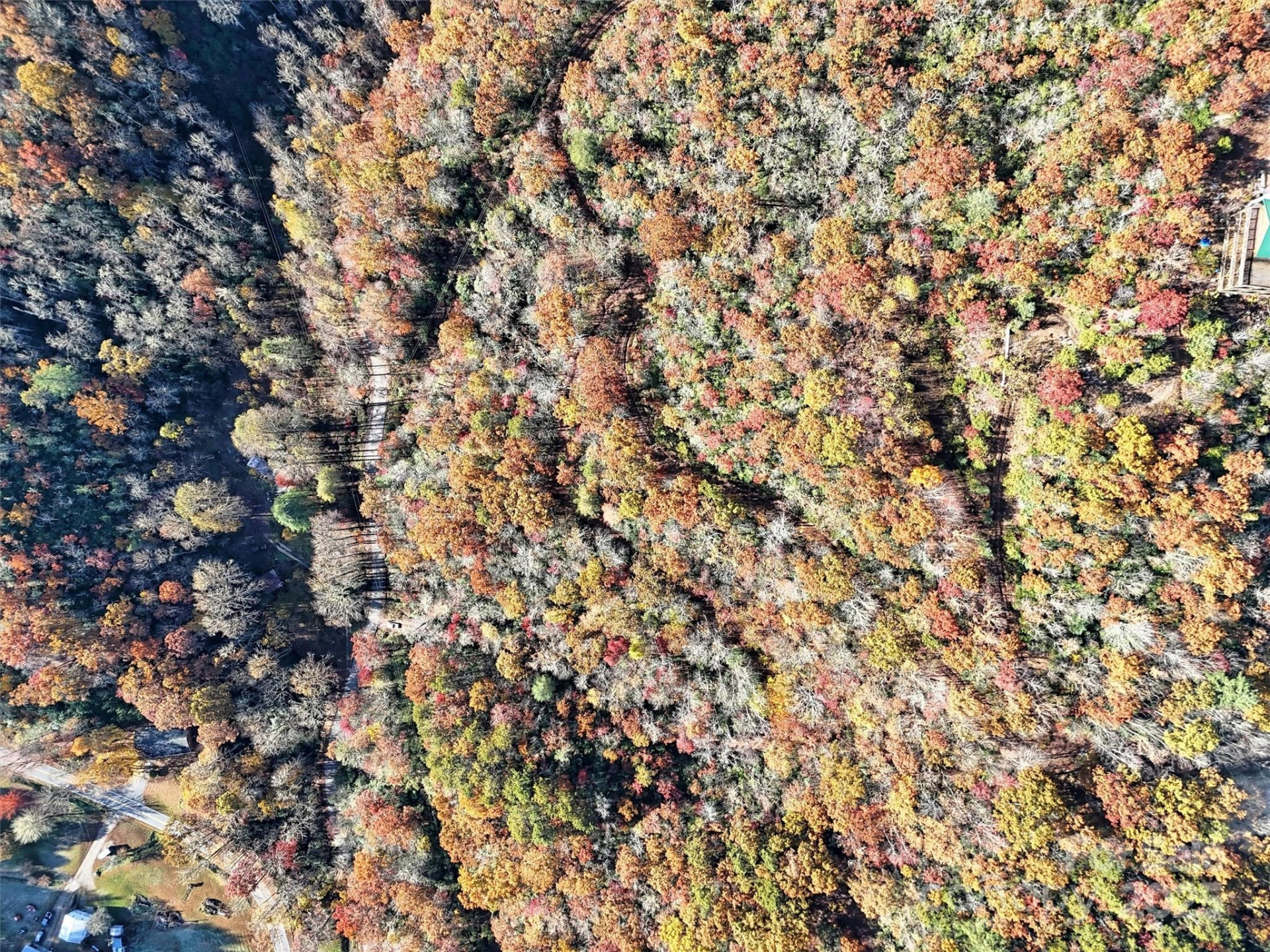 00 Brushy Fork Road - Photo 5