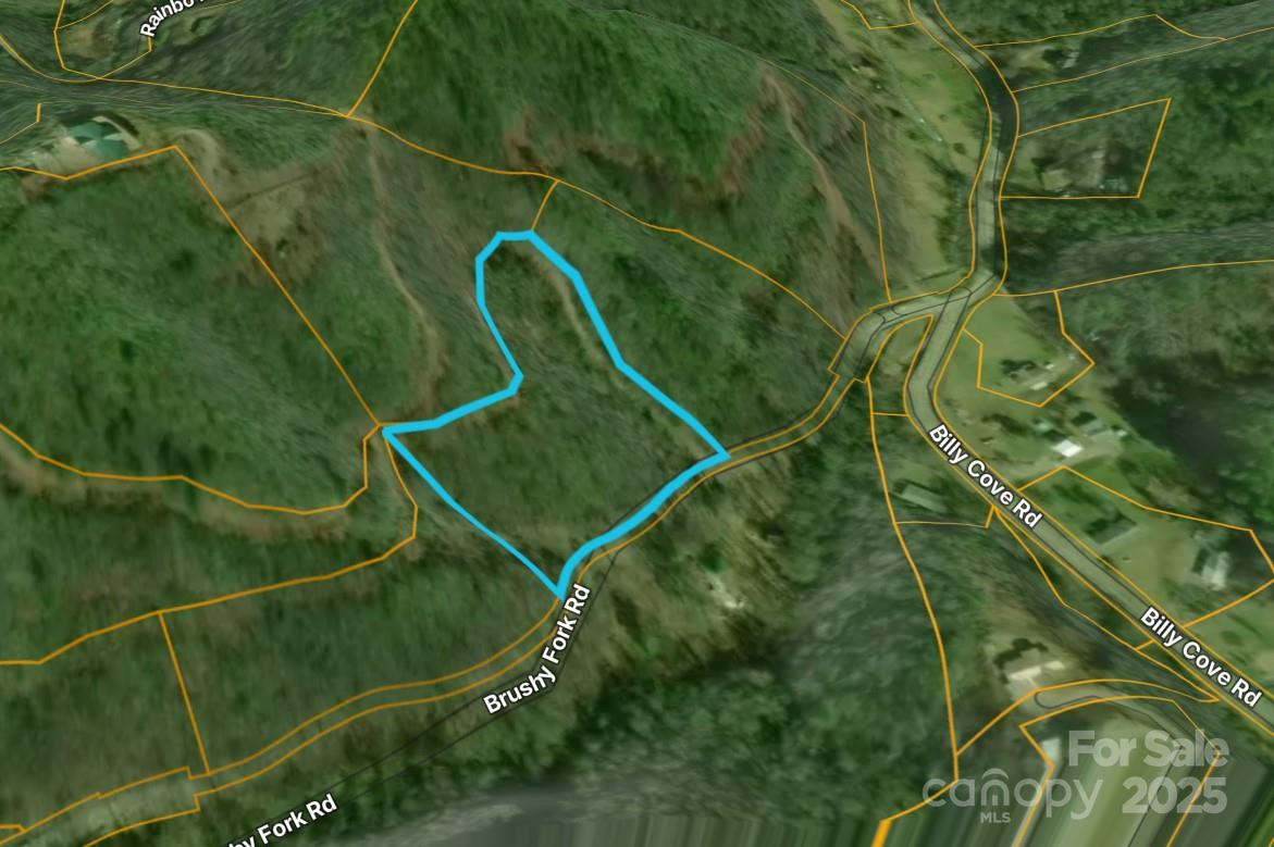 00 Brushy Fork Road - Photo 7