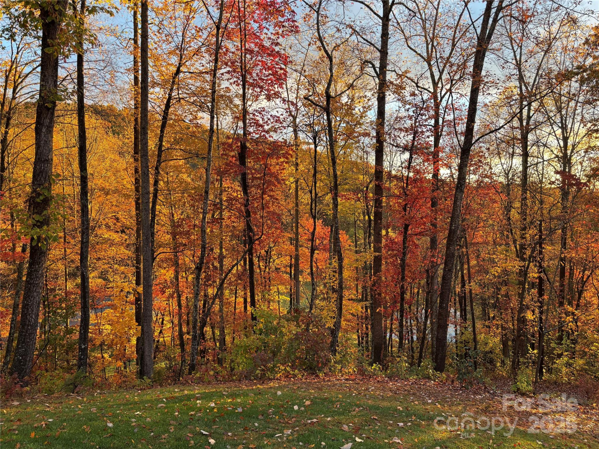 130 Charity Lane - Photo 26