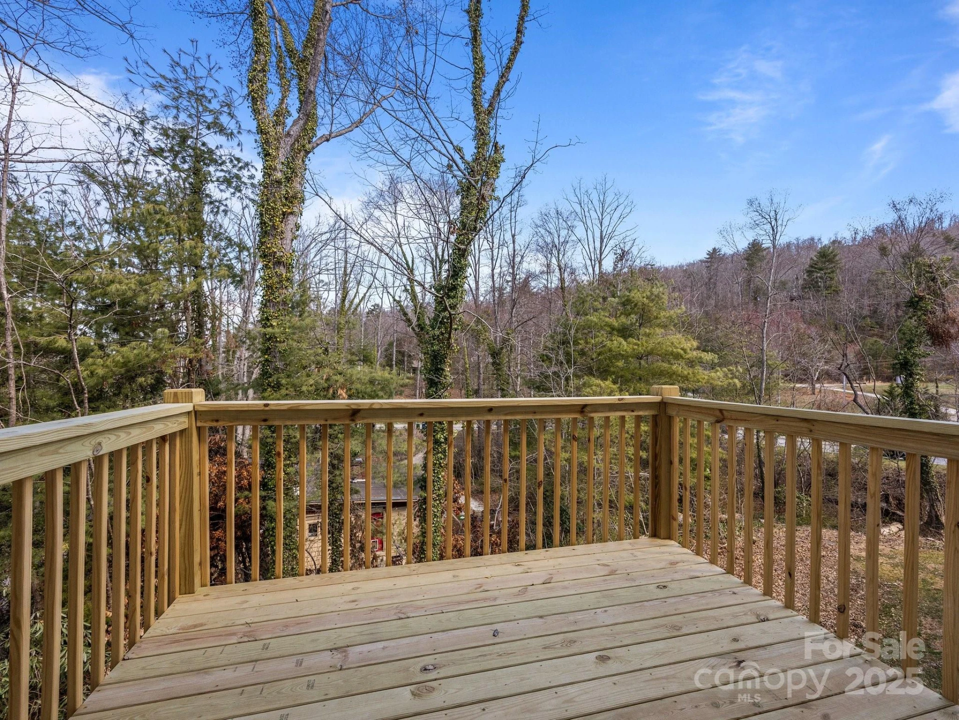 107 Alpine Ridge Drive - Photo 24