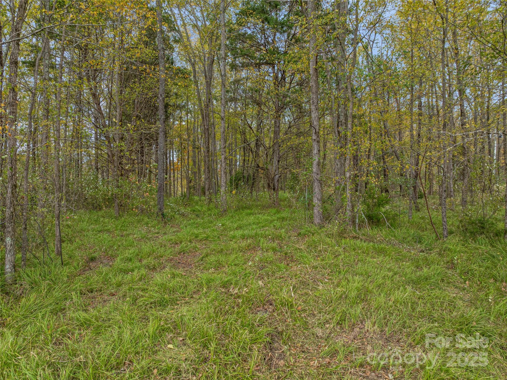 1640, 1641, 1642 River Road - Photo 47