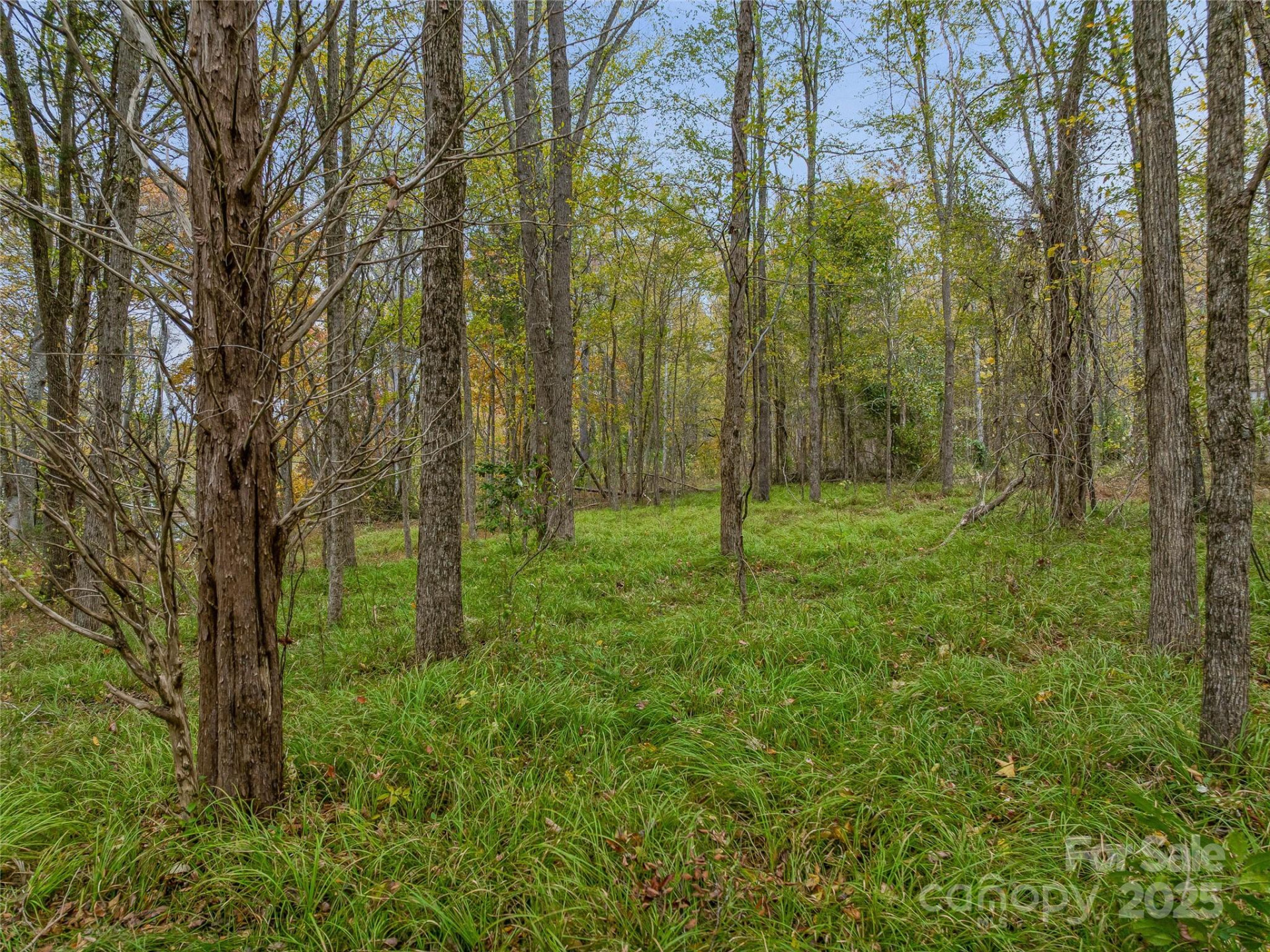 1640, 1641, 1642 River Road - Photo 48