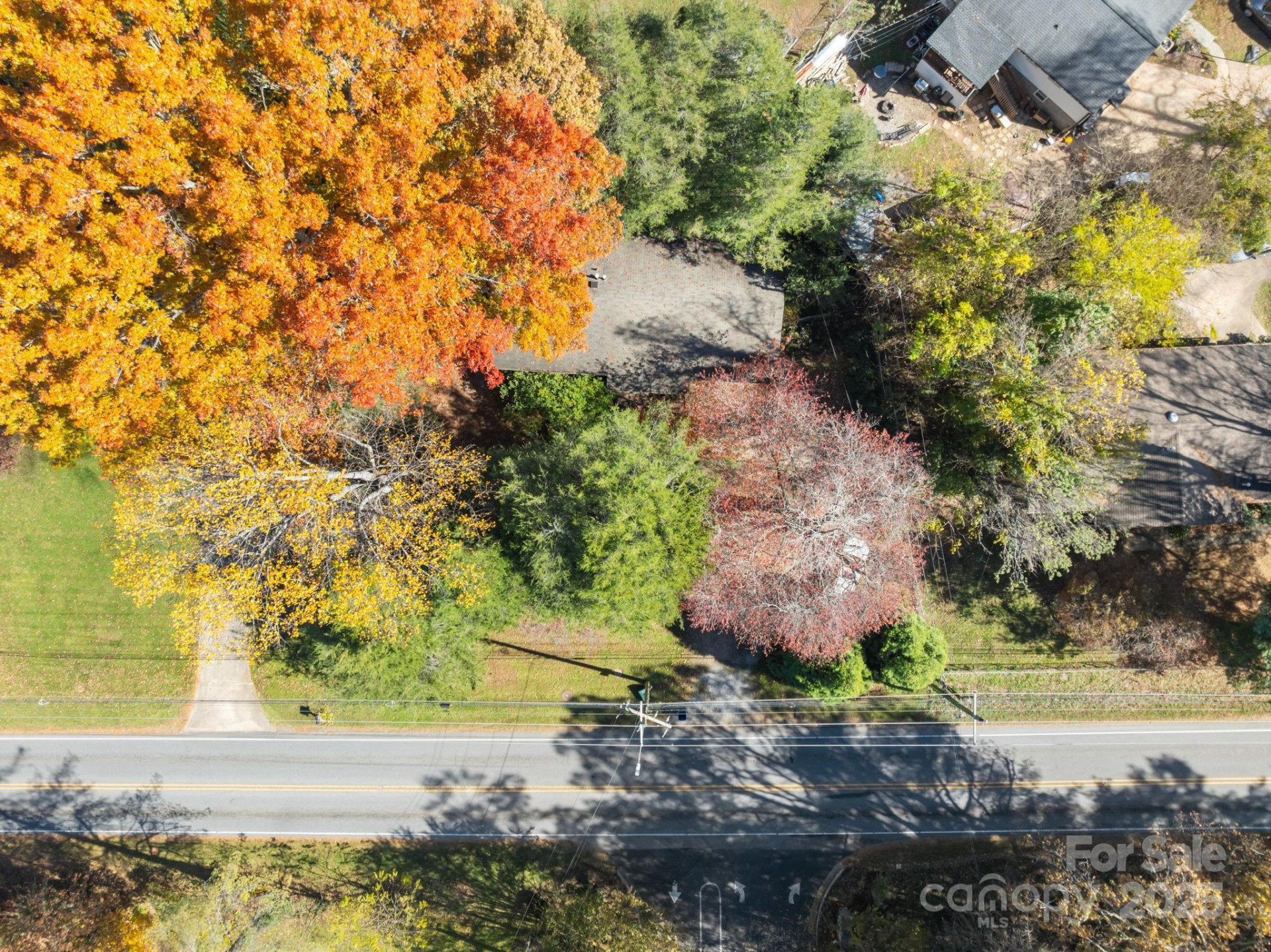 3228 Sweeten Creek Road - Photo 17