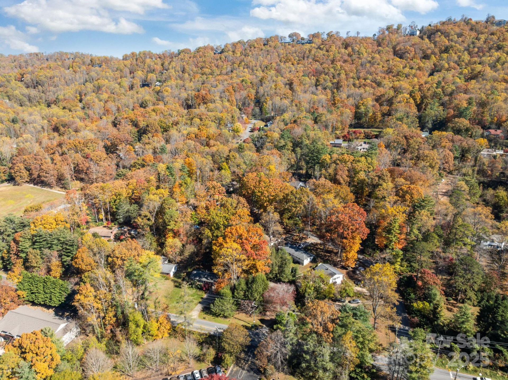 3228 Sweeten Creek Road - Photo 18