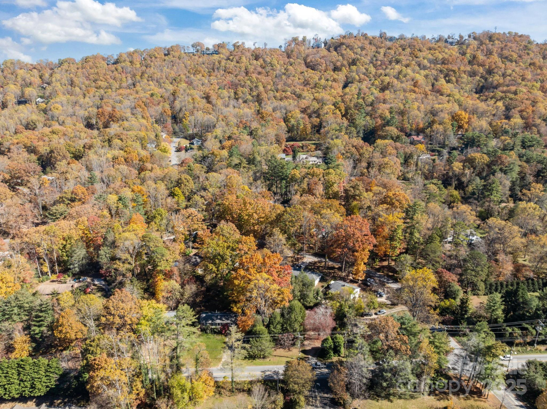 3228 Sweeten Creek Road - Photo 19