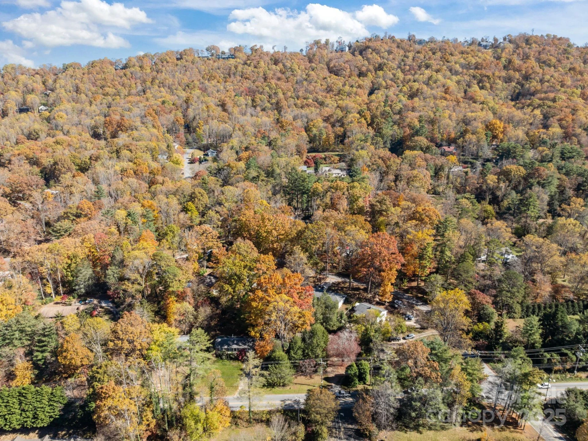 3228 Sweeten Creek Road - Photo 19
