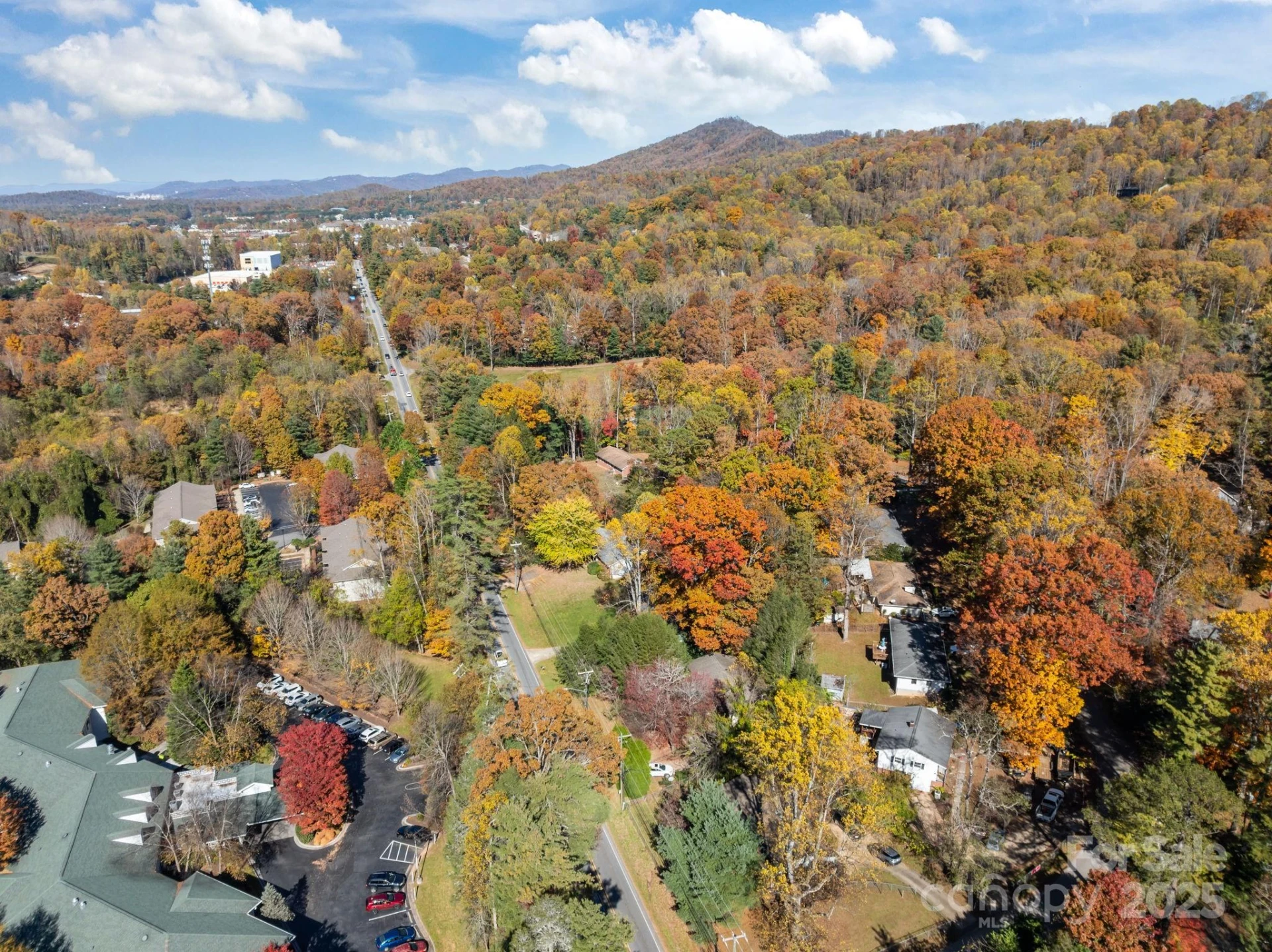 3228 Sweeten Creek Road - Photo 21