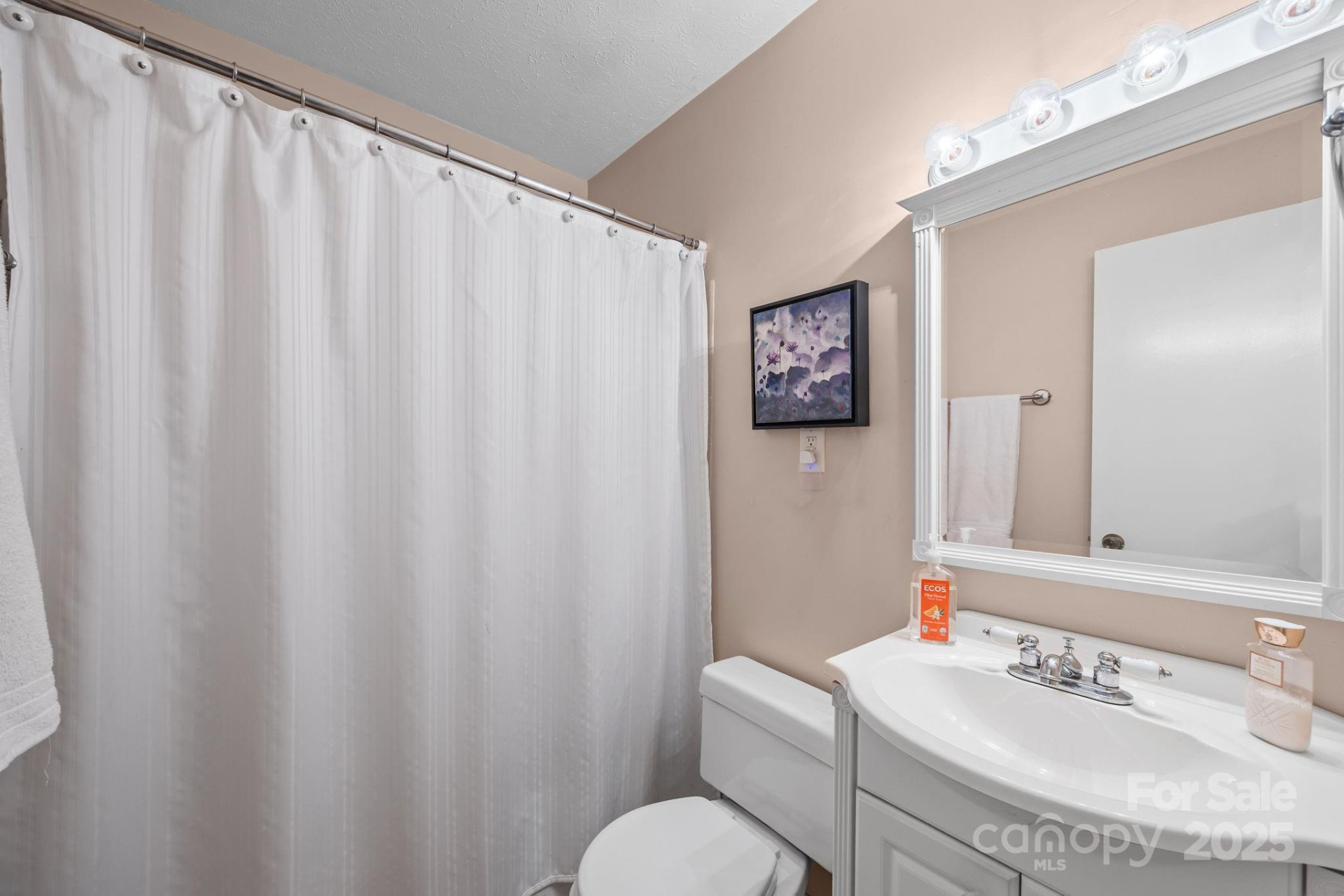 3228 Sweeten Creek Road - Photo 45