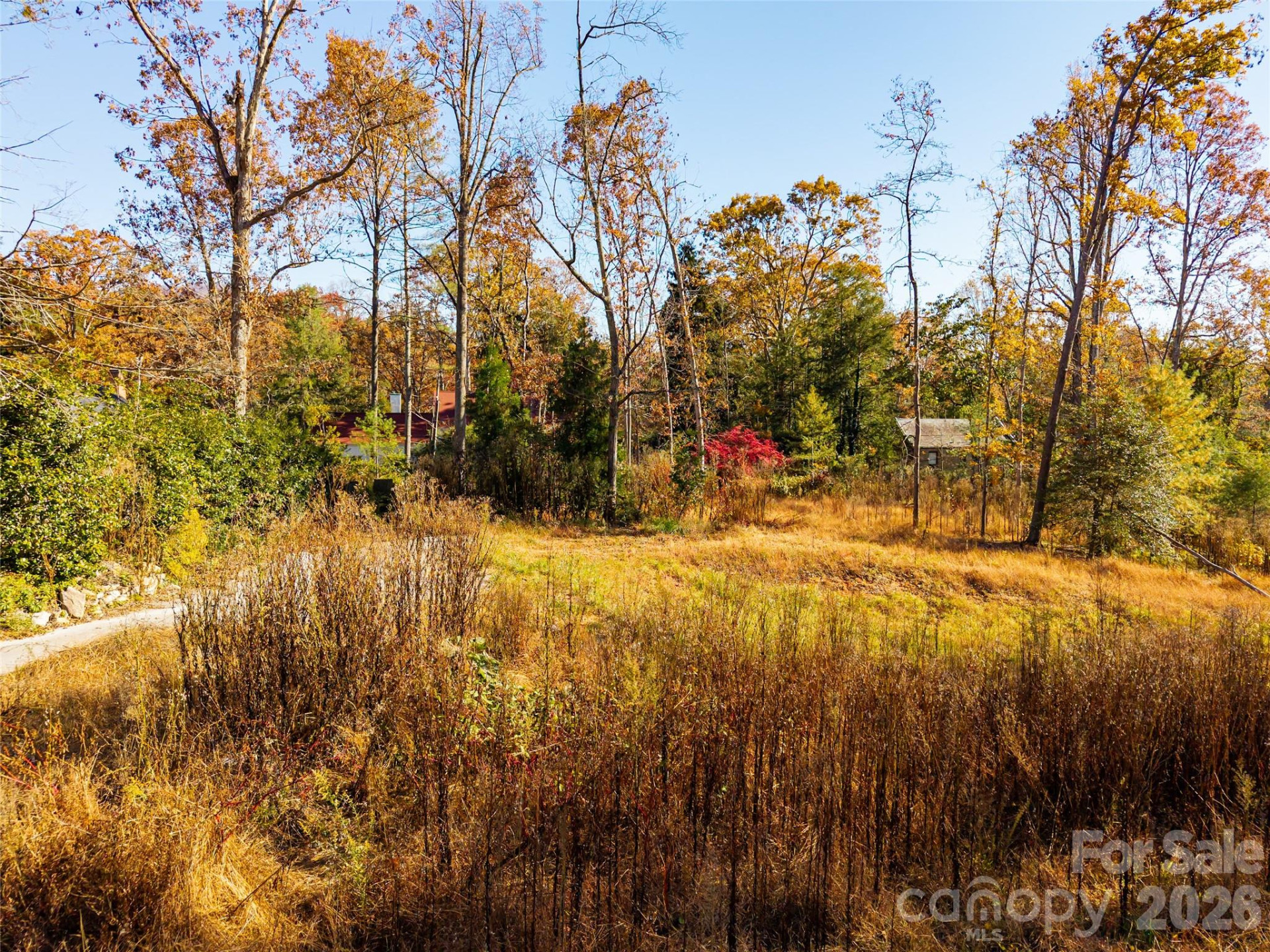 50 Forest Road - Photo 13