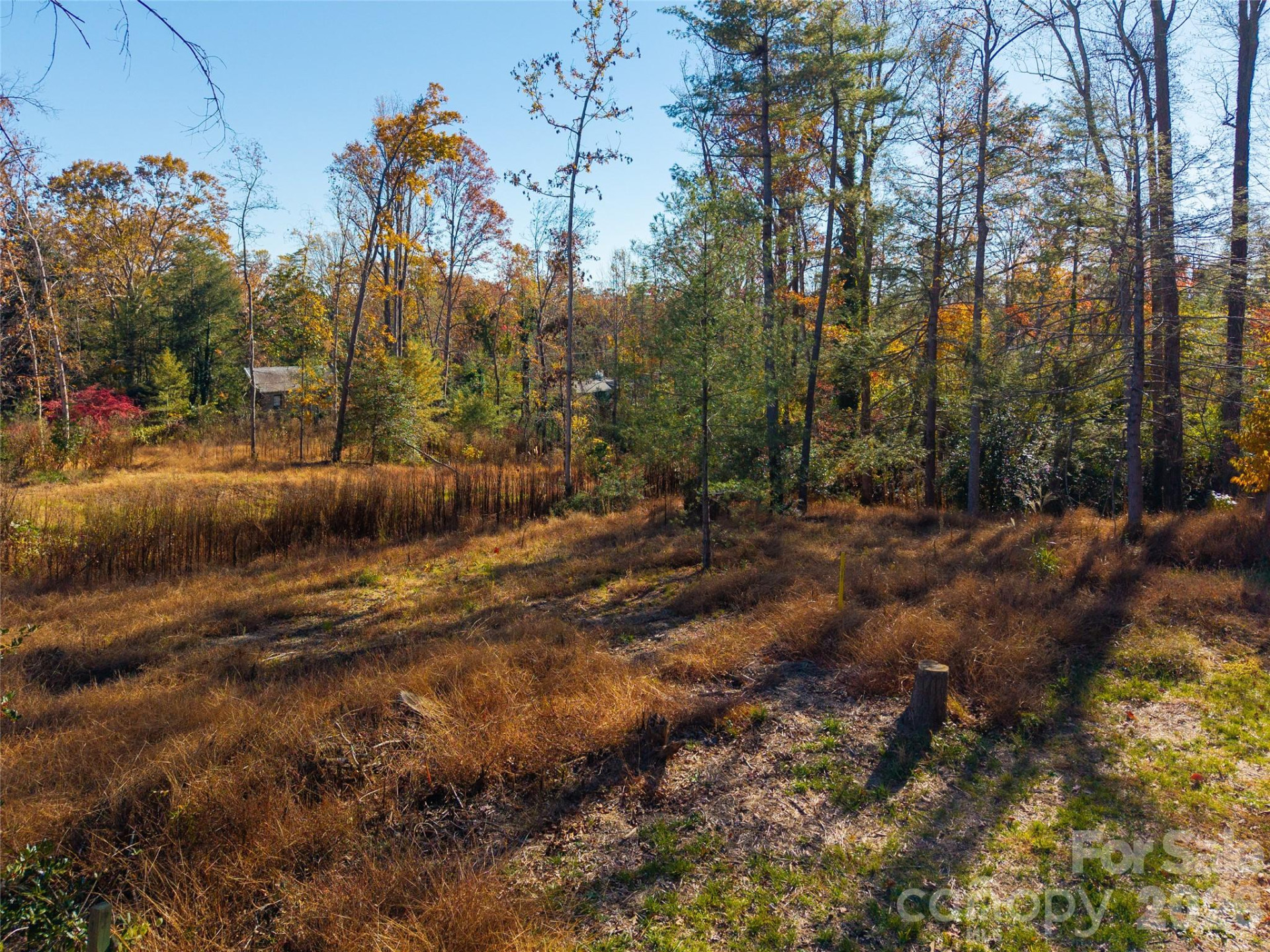 50 Forest Road - Photo 18