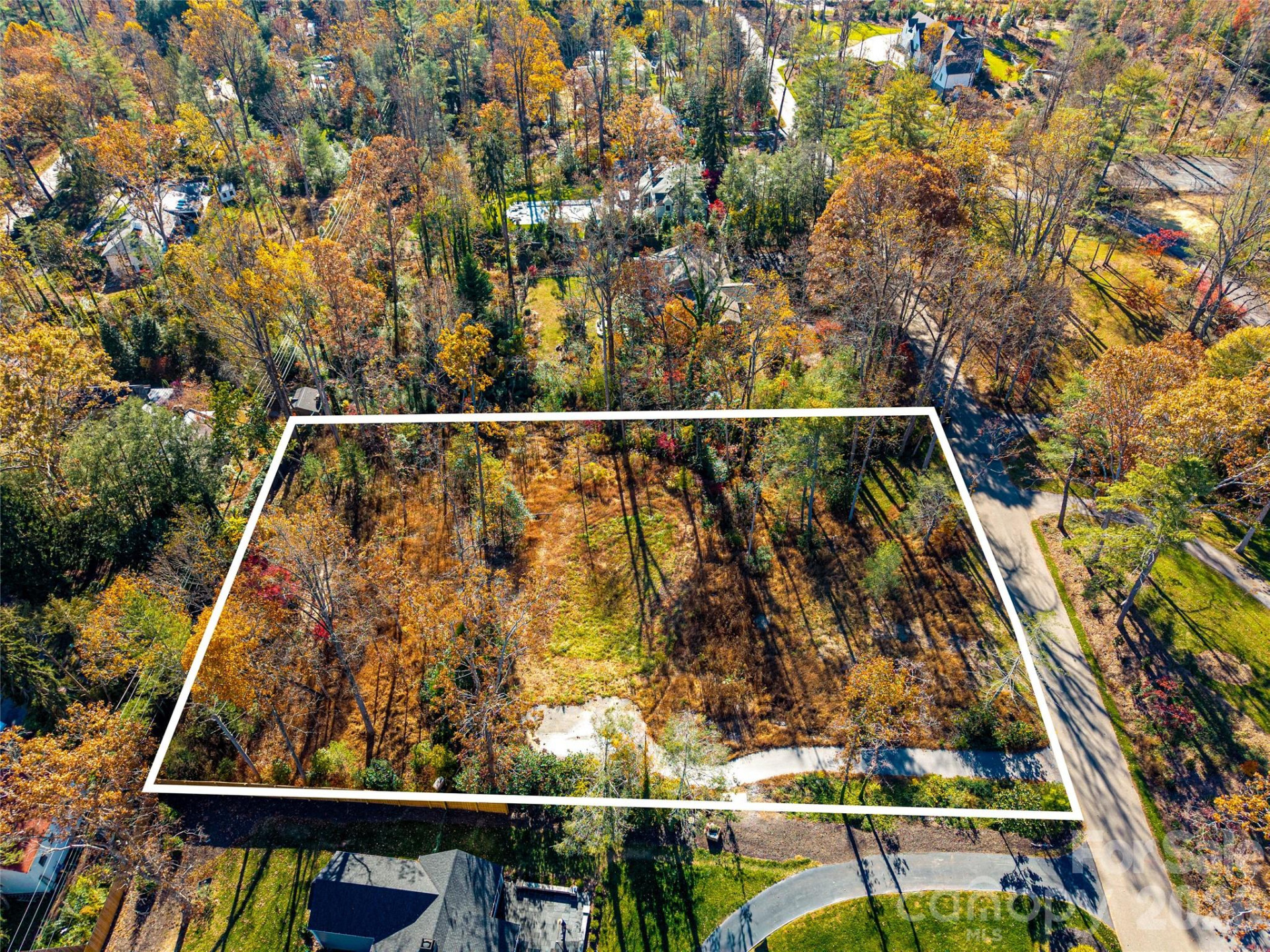 50 Forest Road - Photo 19