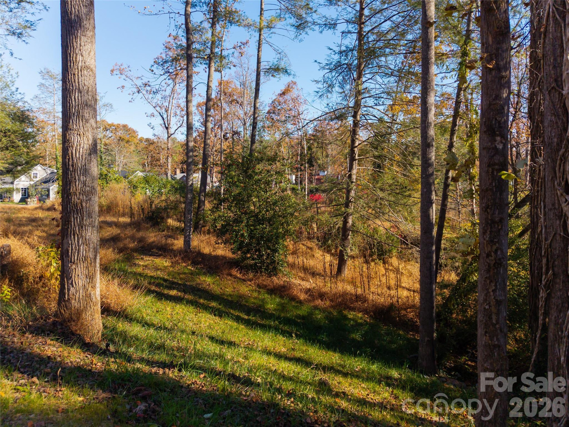 50 Forest Road - Photo 3