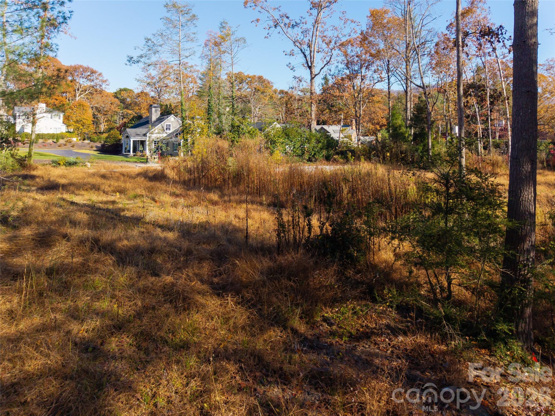 50 Forest Road - Photo 4