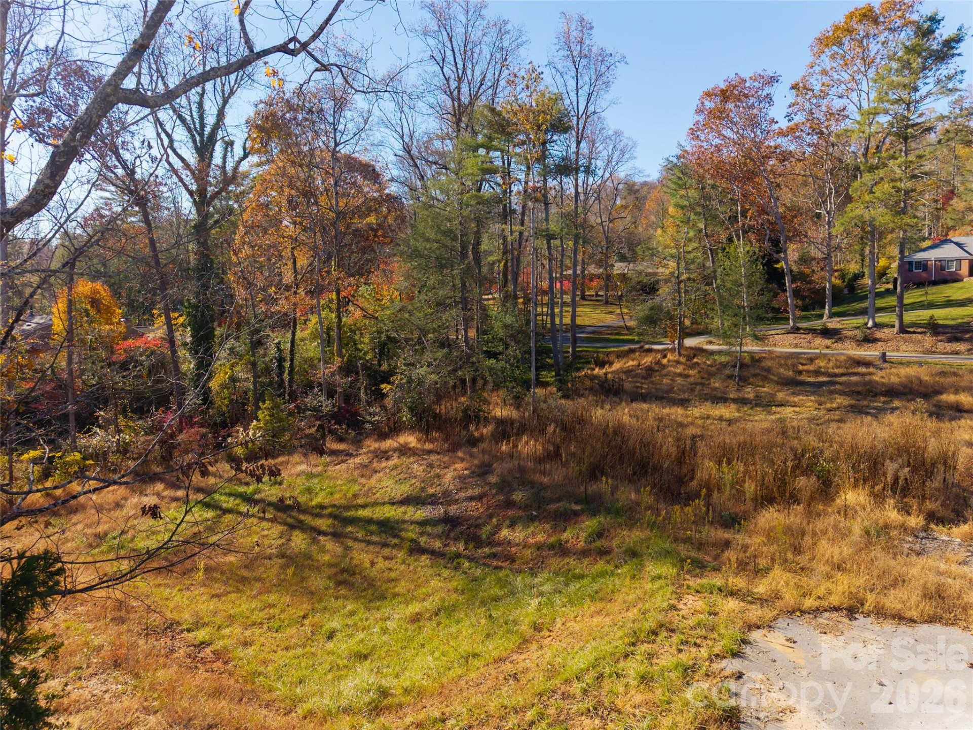 50 Forest Road - Photo 6