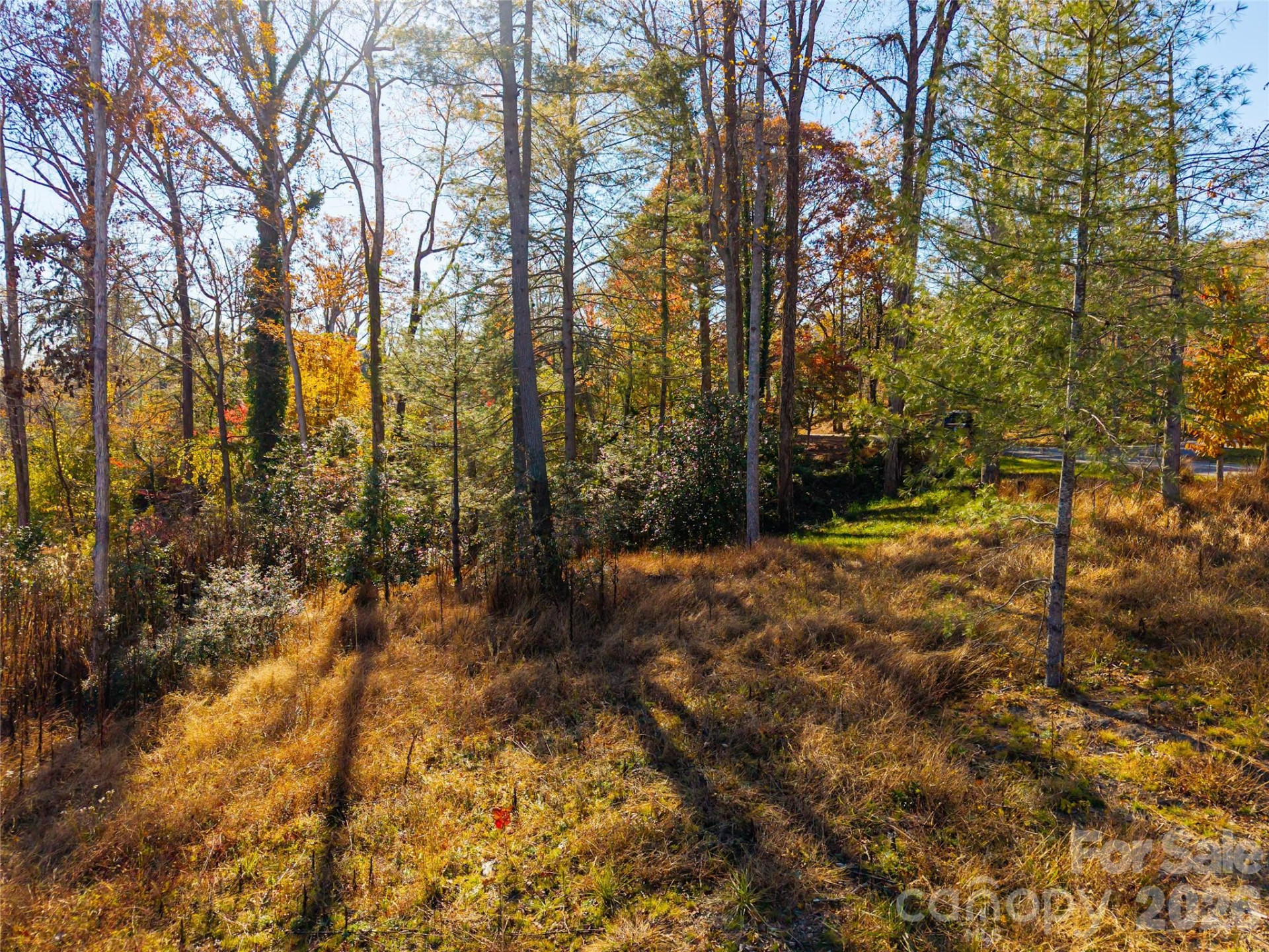 50 Forest Road - Photo 7