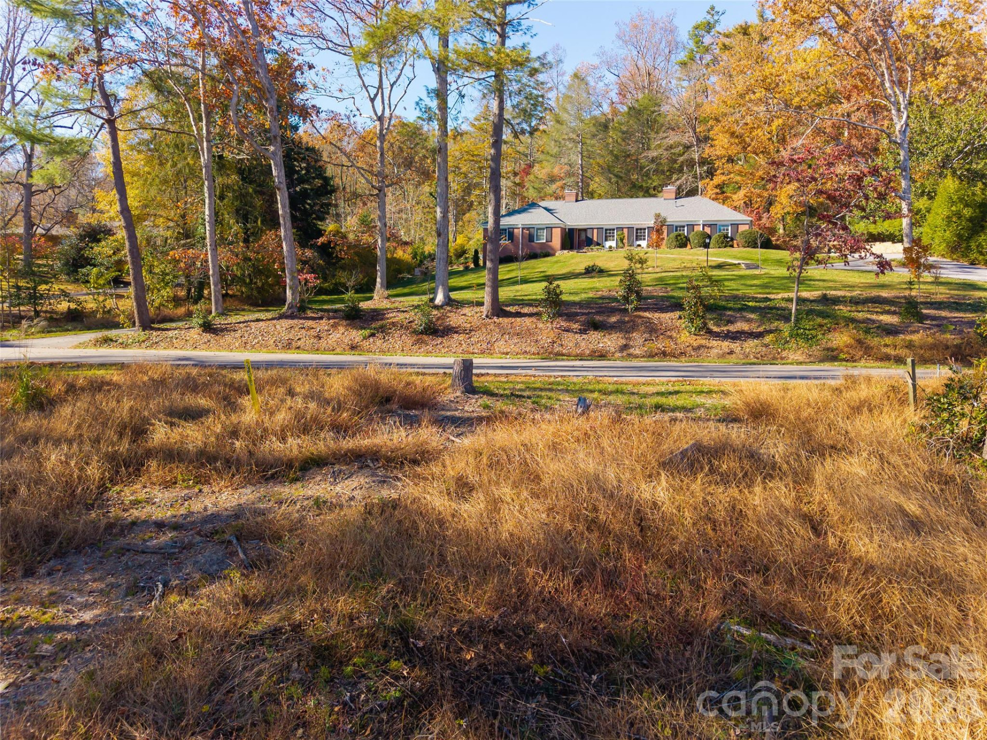 50 Forest Road - Photo 9