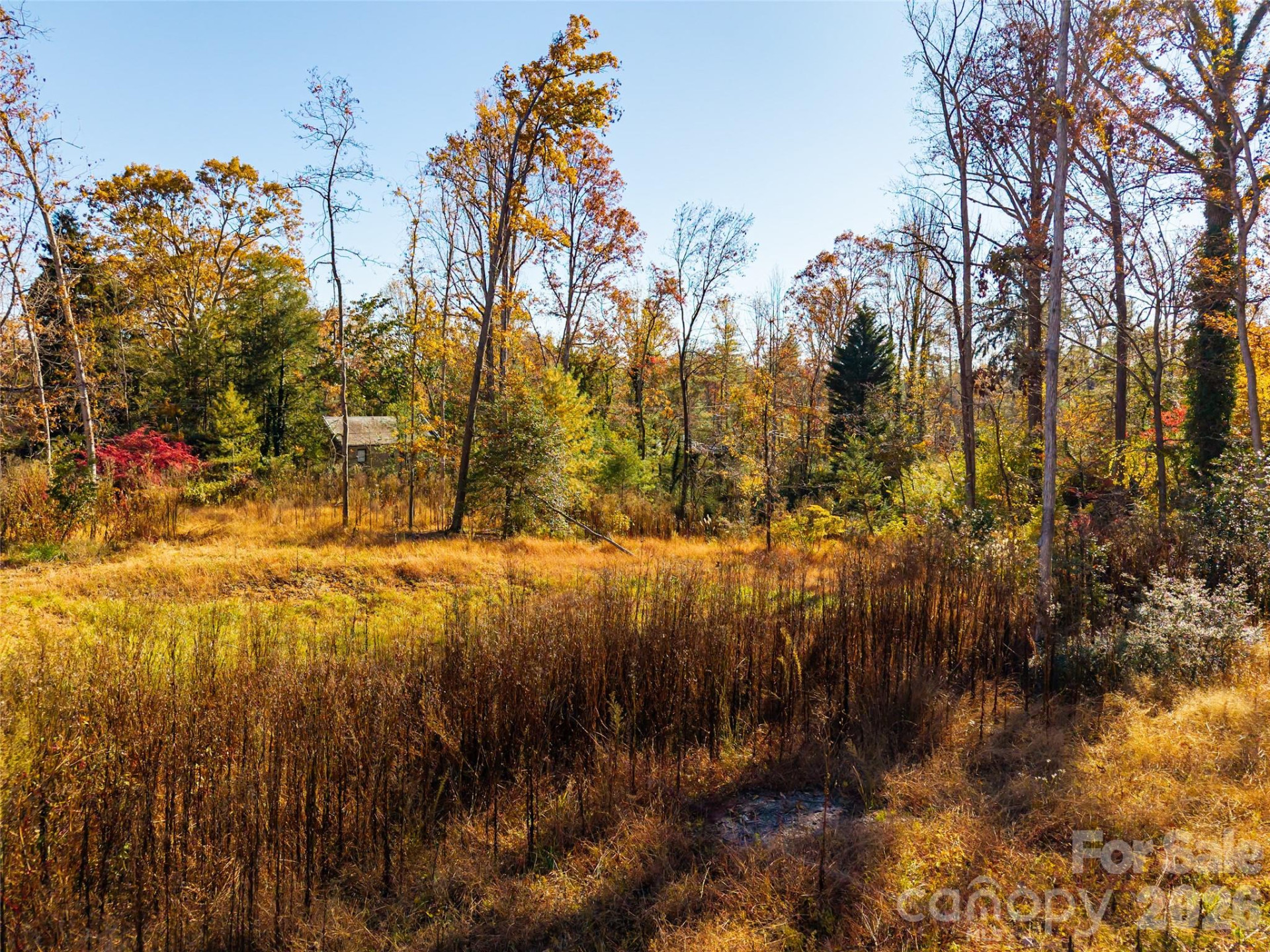 50 Forest Road - Photo 10