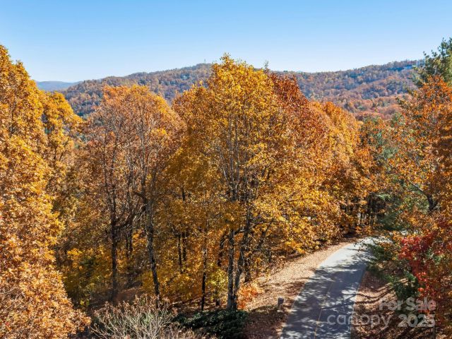 707 Overlook Drive, Flat Rock, NC, 28731