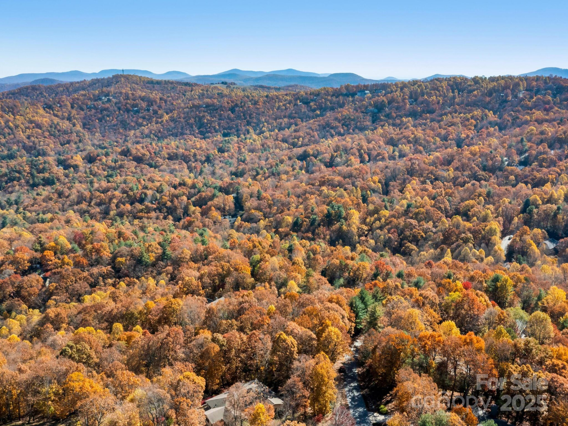 707 Overlook Drive - Photo 6