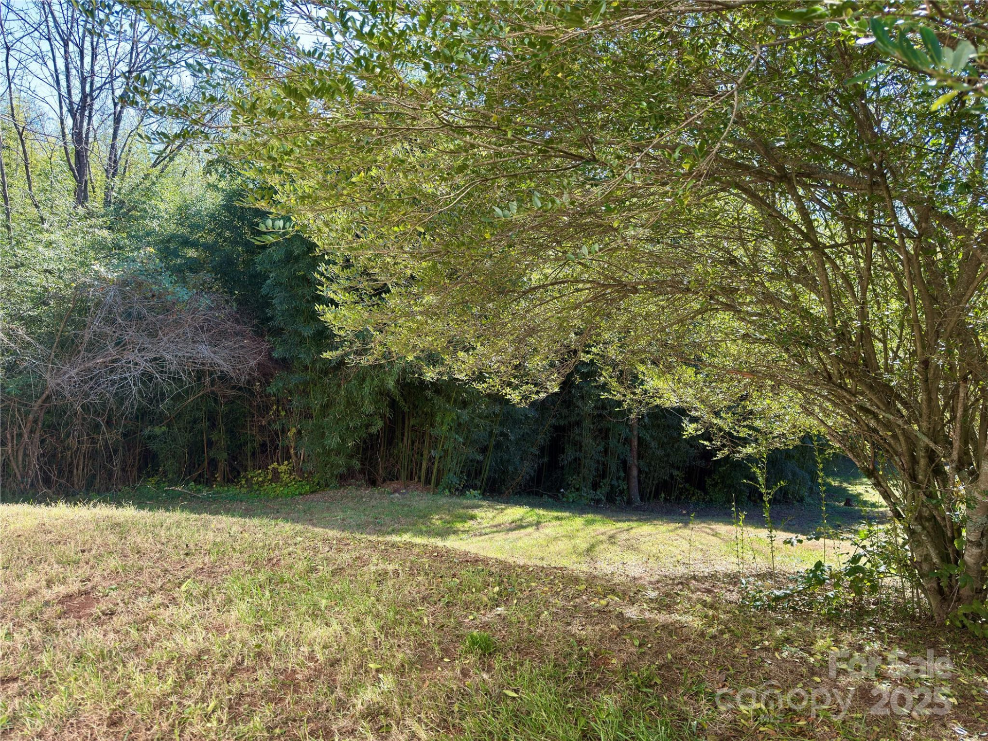 658 Emma Road - Photo 27