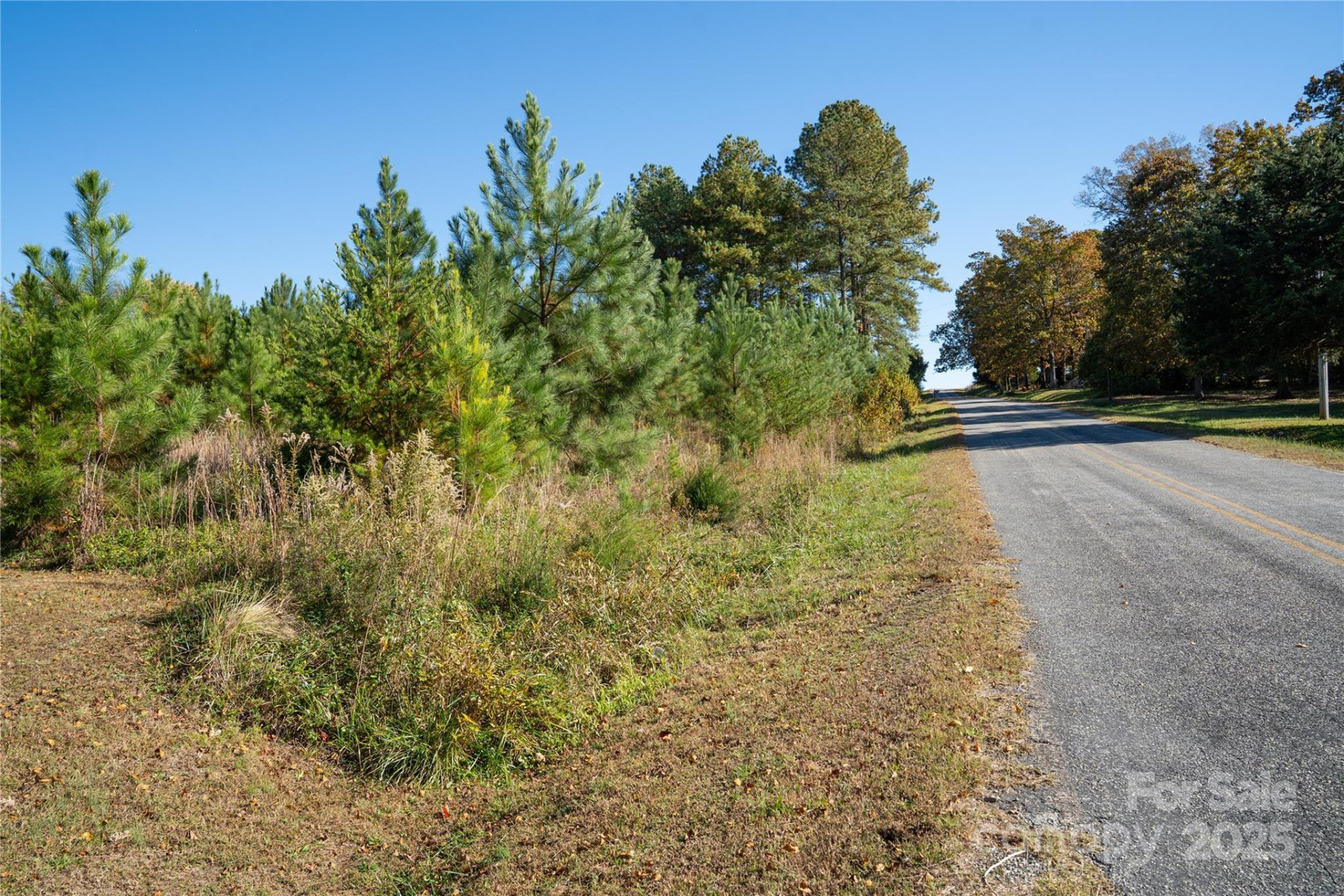 523 Mcdade Road - Photo 2