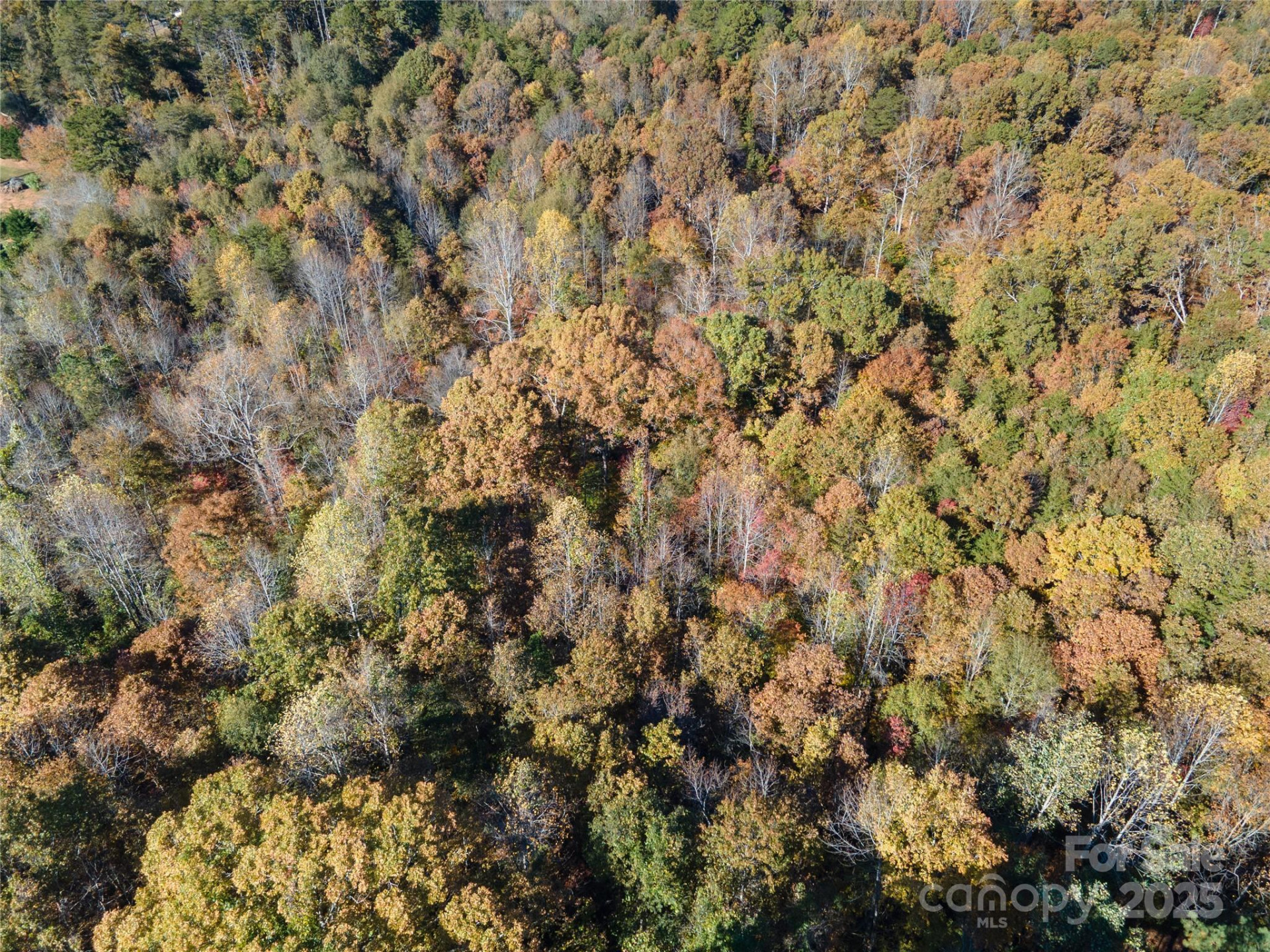 523 Mcdade Road - Photo 20