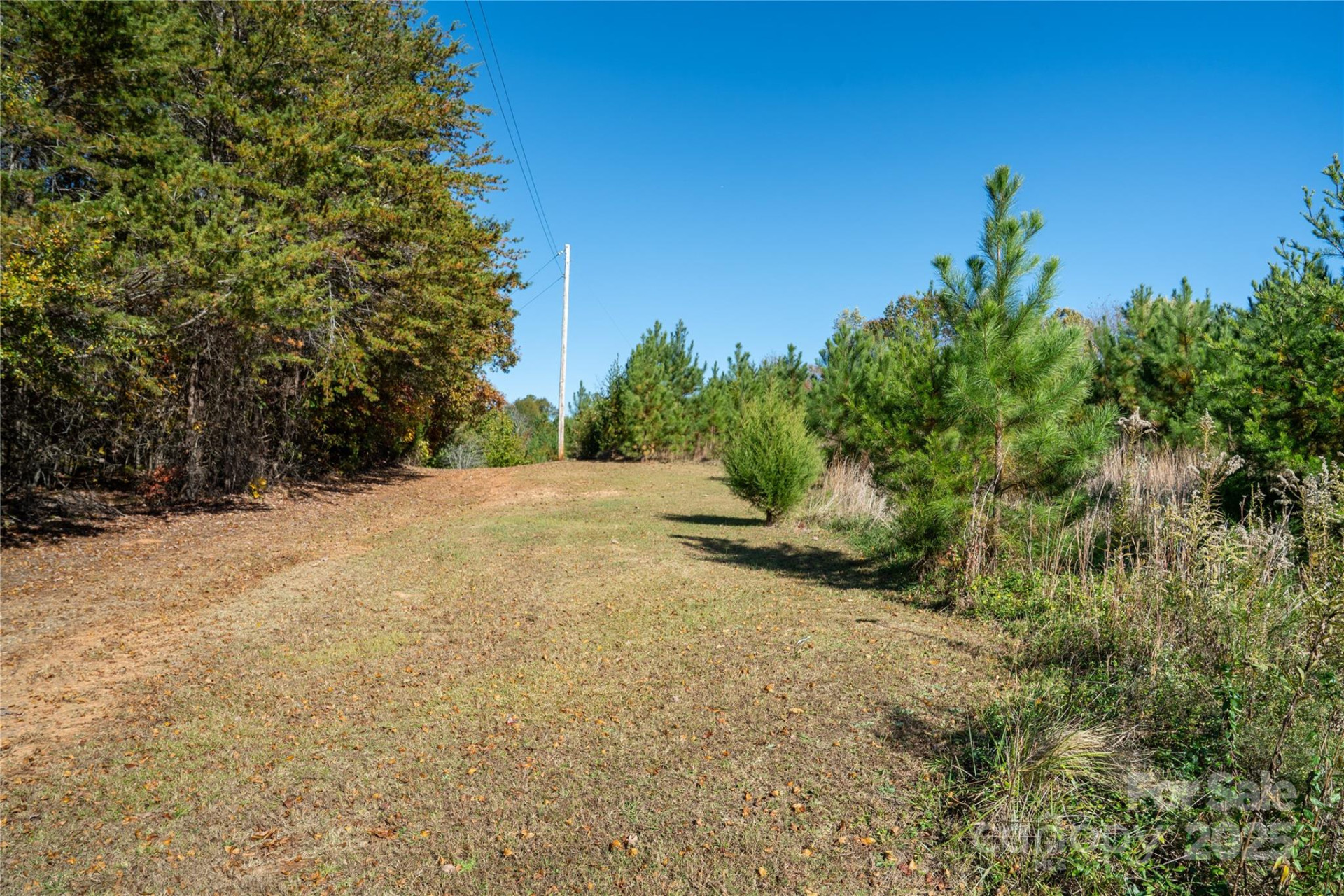 523 Mcdade Road - Photo 3