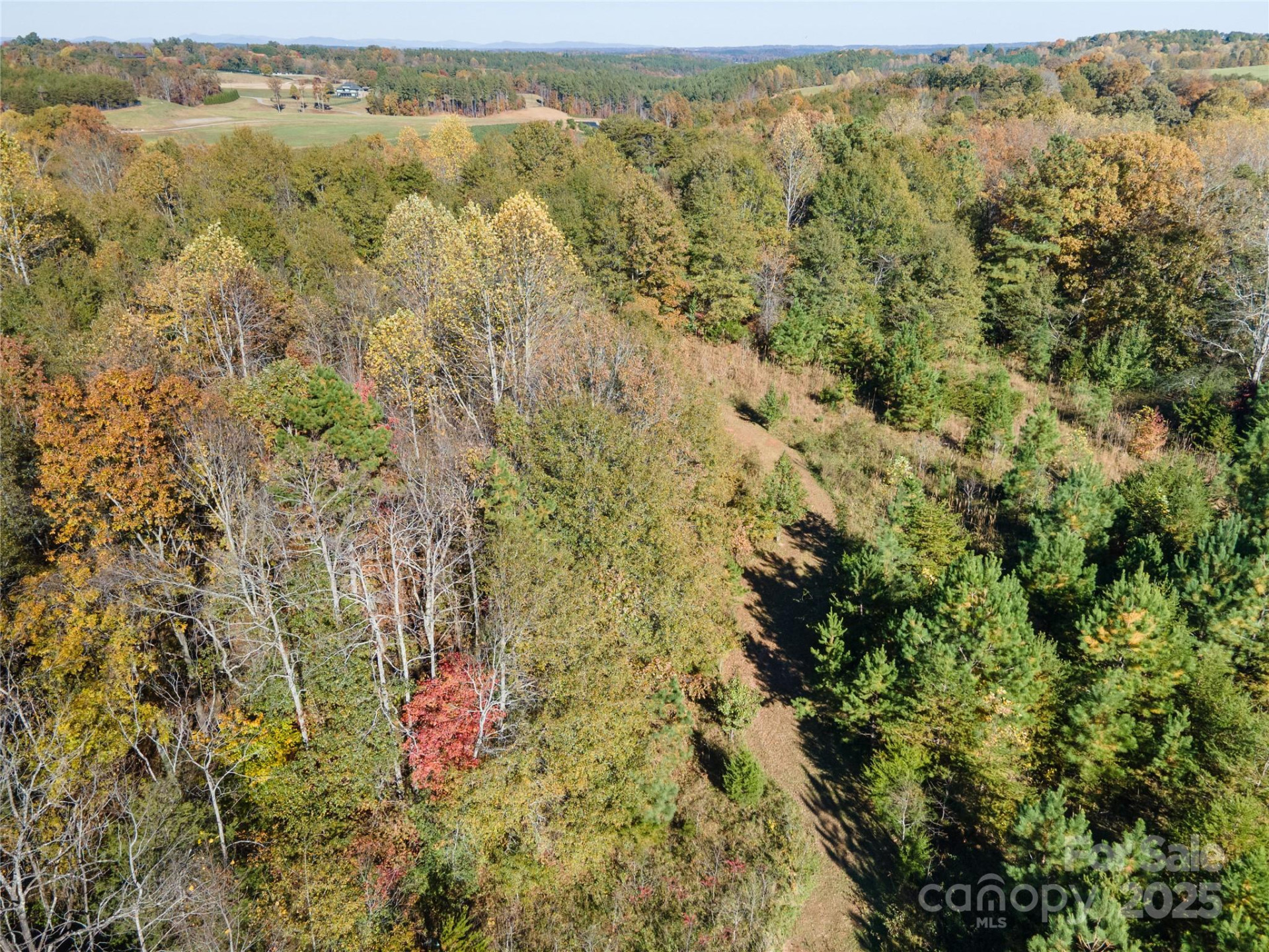 523 Mcdade Road - Photo 21