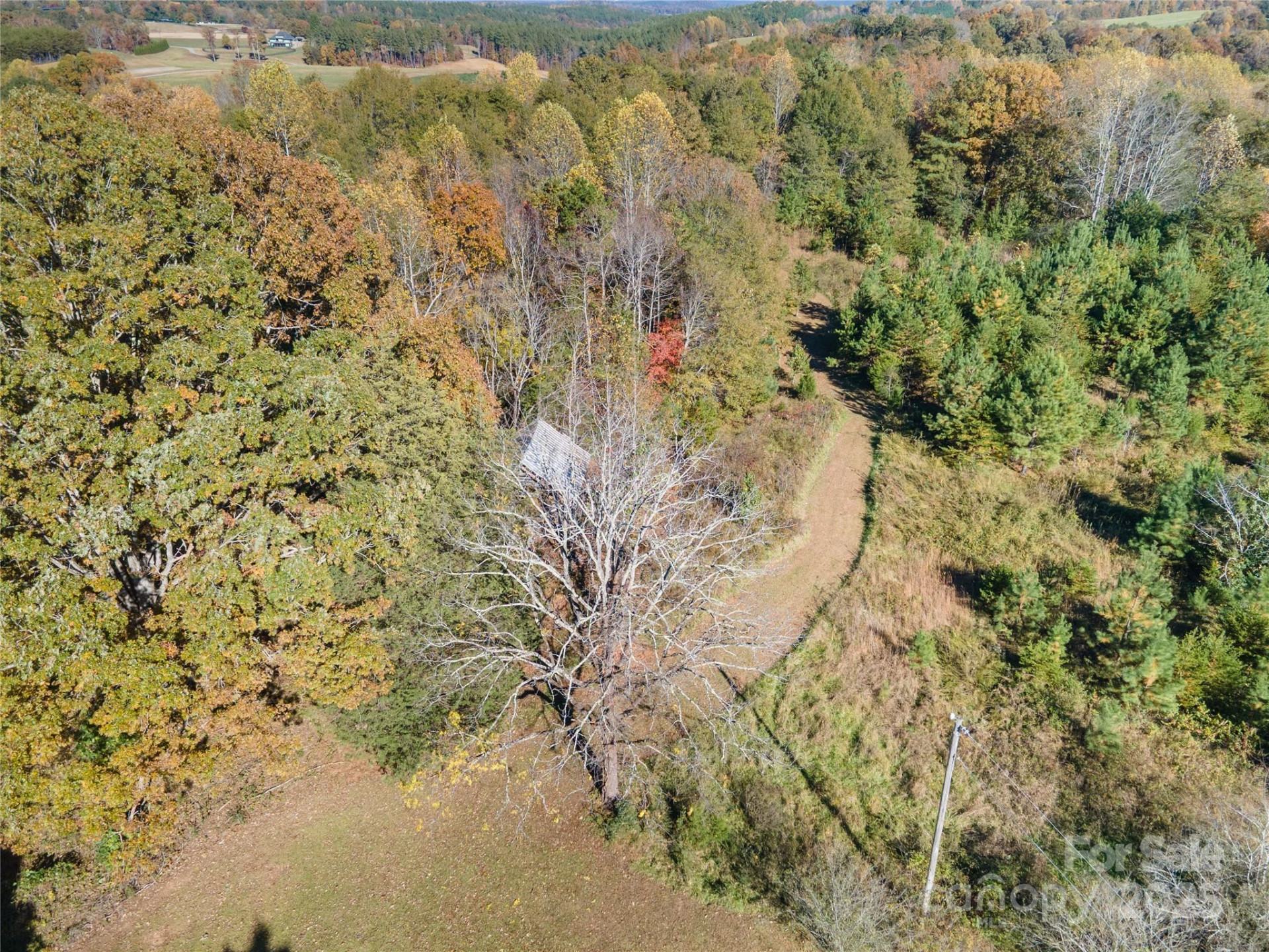 523 Mcdade Road - Photo 24