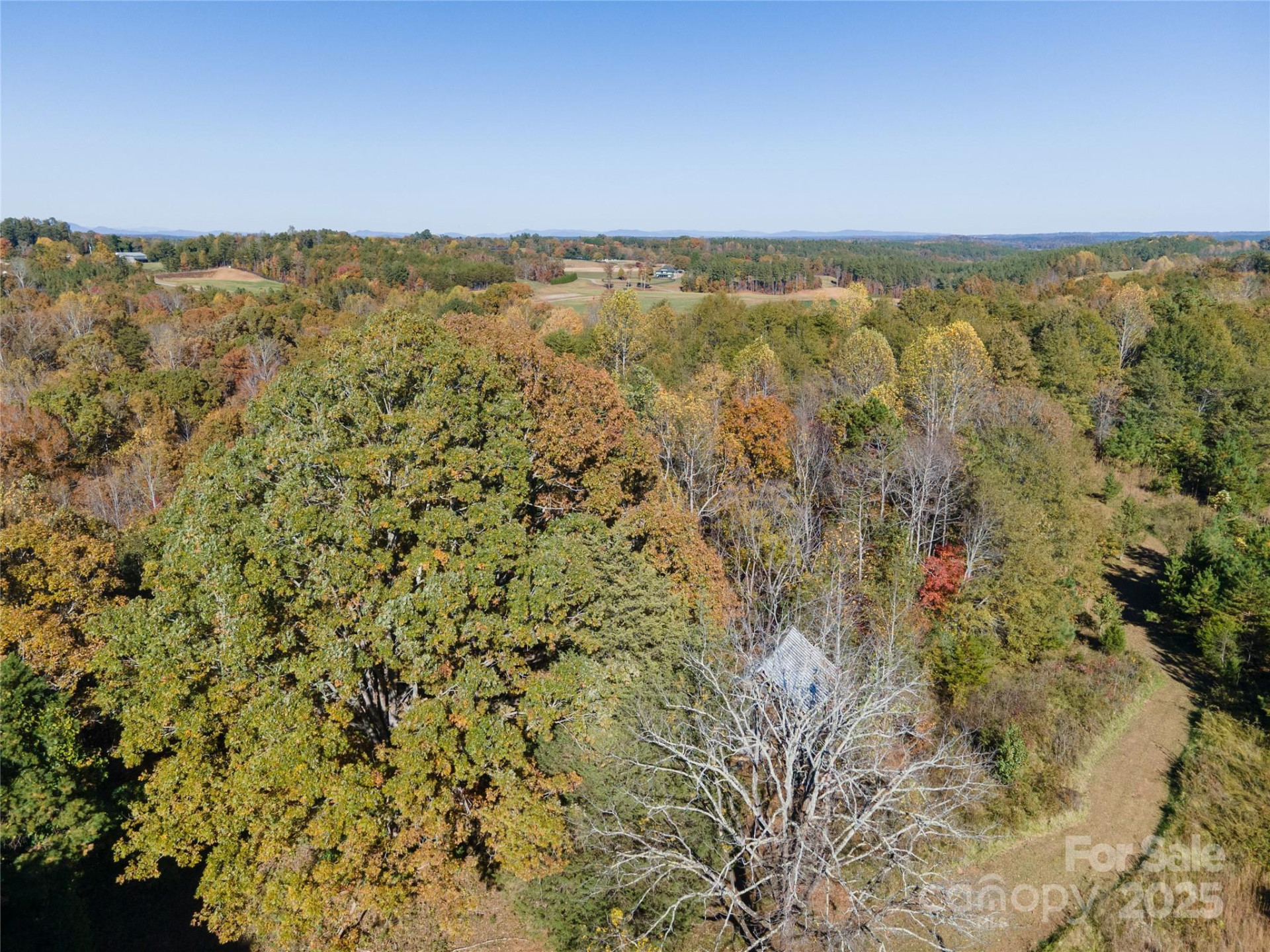 523 Mcdade Road - Photo 25