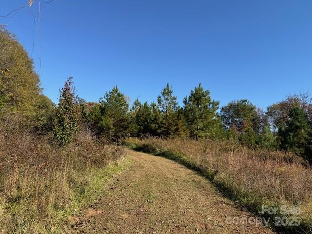 523 Mcdade Road - Photo 27