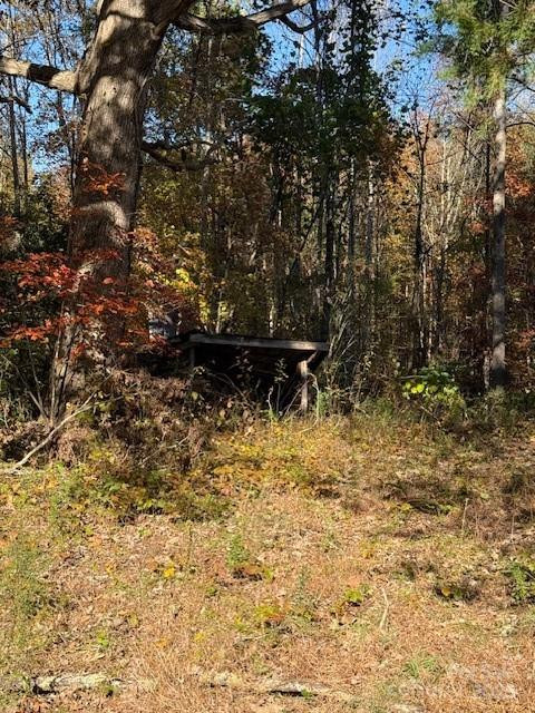 523 Mcdade Road - Photo 29