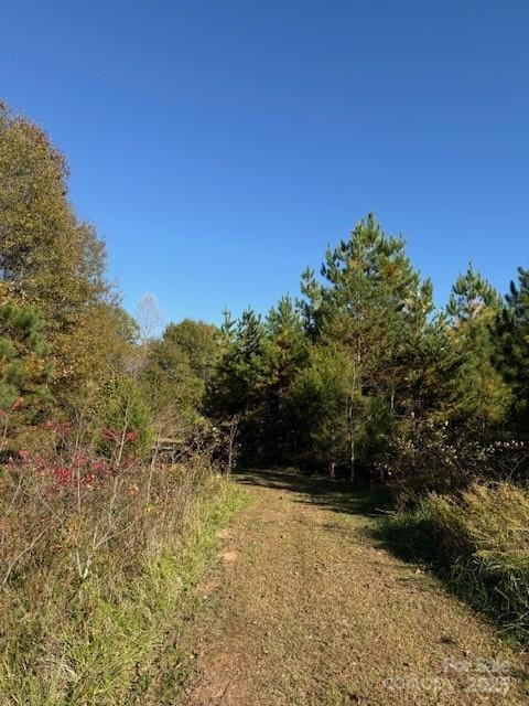 523 Mcdade Road - Photo 32