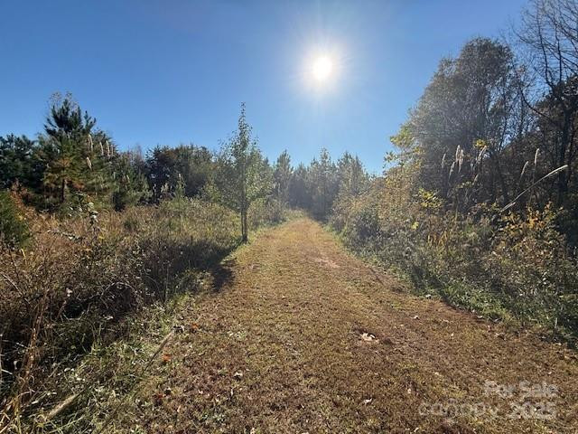 523 Mcdade Road - Photo 34
