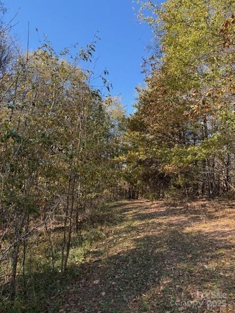 523 Mcdade Road - Photo 35