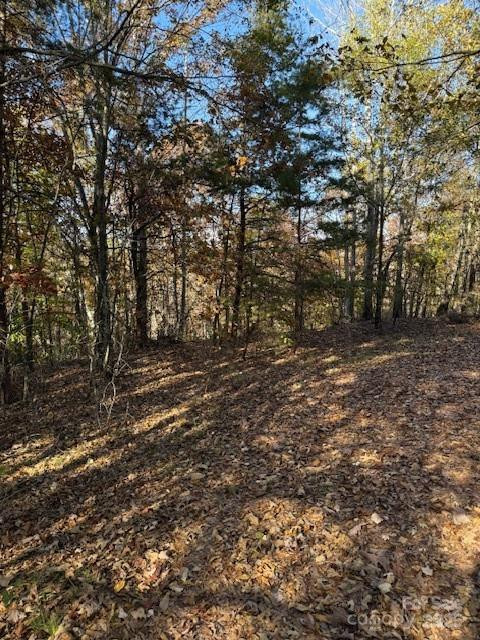 523 Mcdade Road - Photo 36
