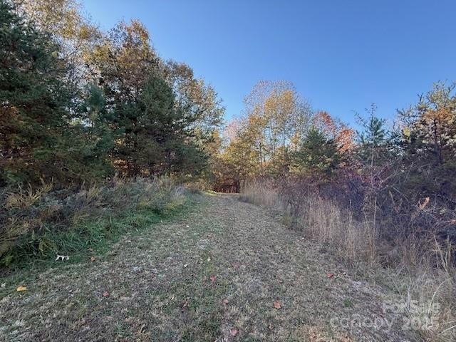 523 Mcdade Road - Photo 37