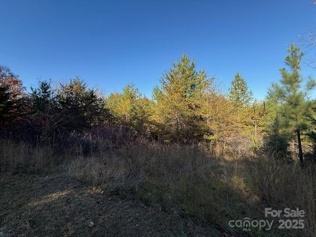 523 Mcdade Road - Photo 38