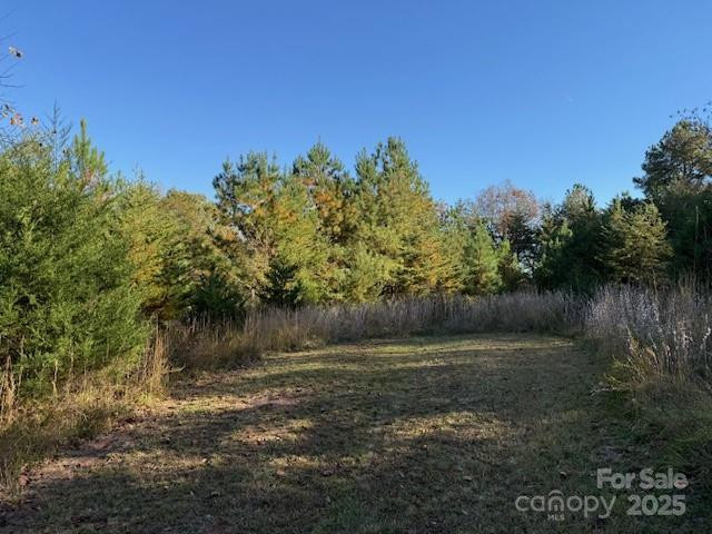 523 Mcdade Road - Photo 39