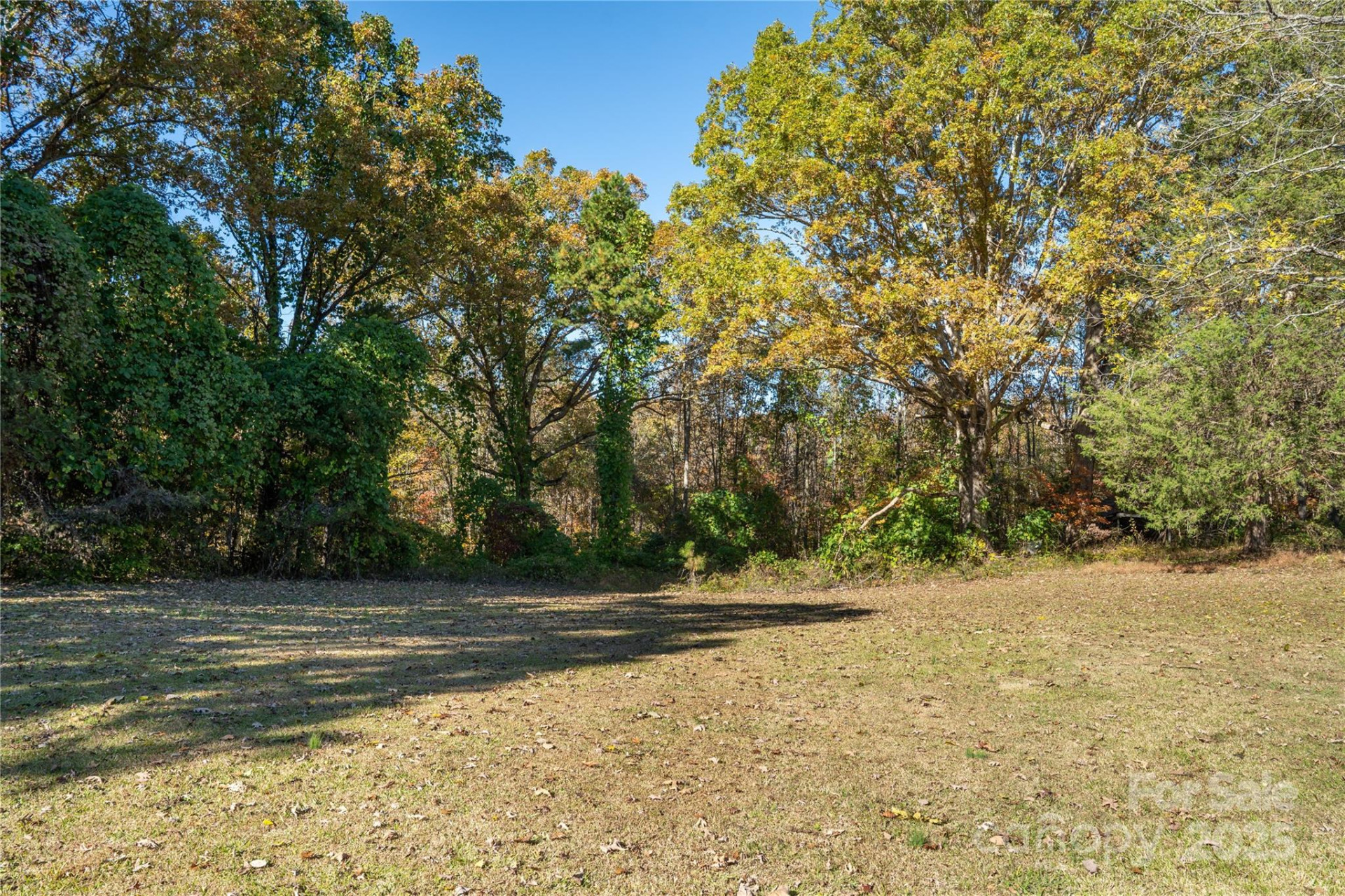 523 Mcdade Road - Photo 5